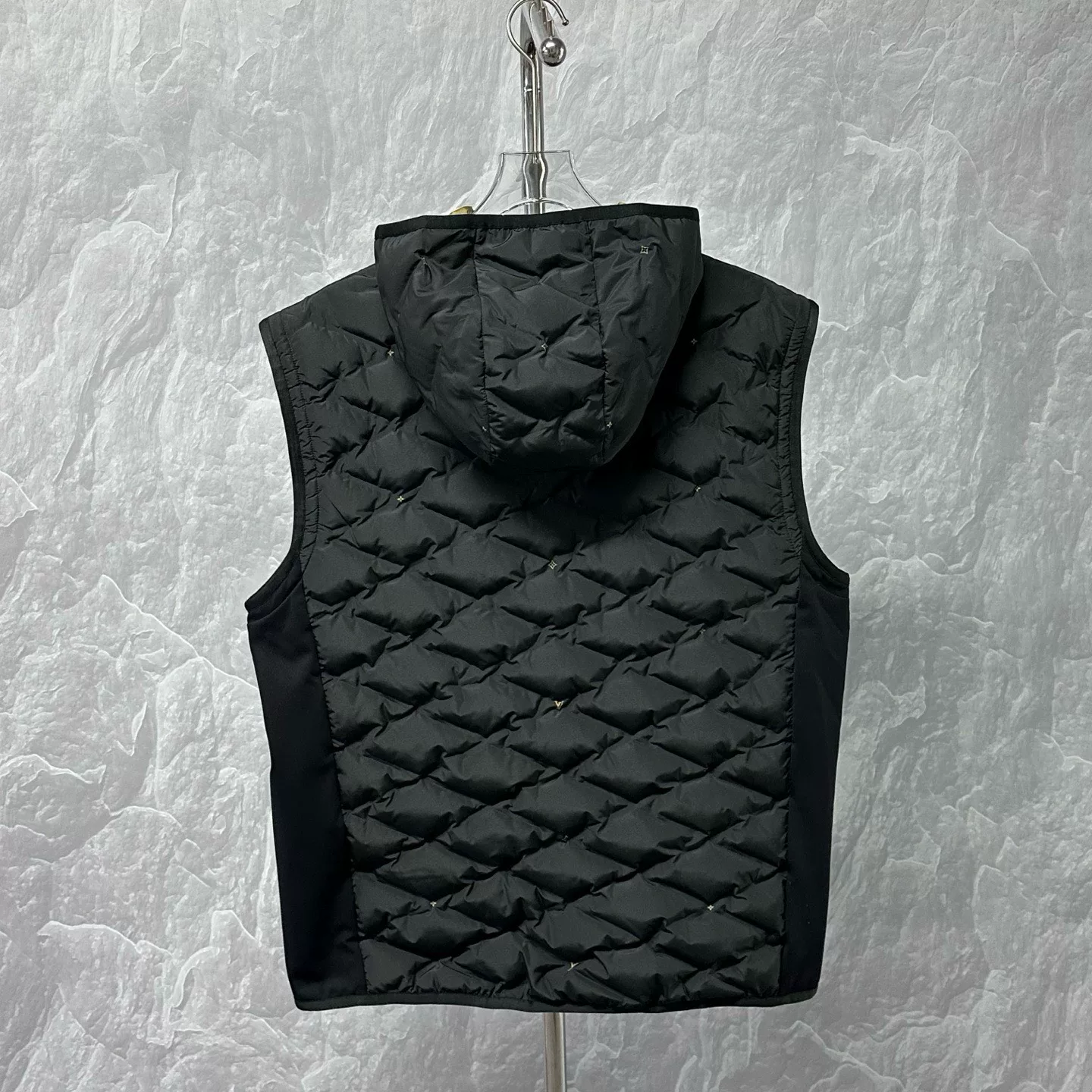 Louis Vuitton SS26 Ski Quilted Jacket — back
