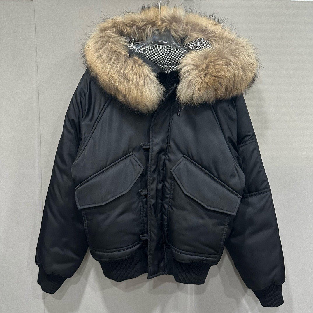 Louis Vuitton Snow Mountain Padded Jacket