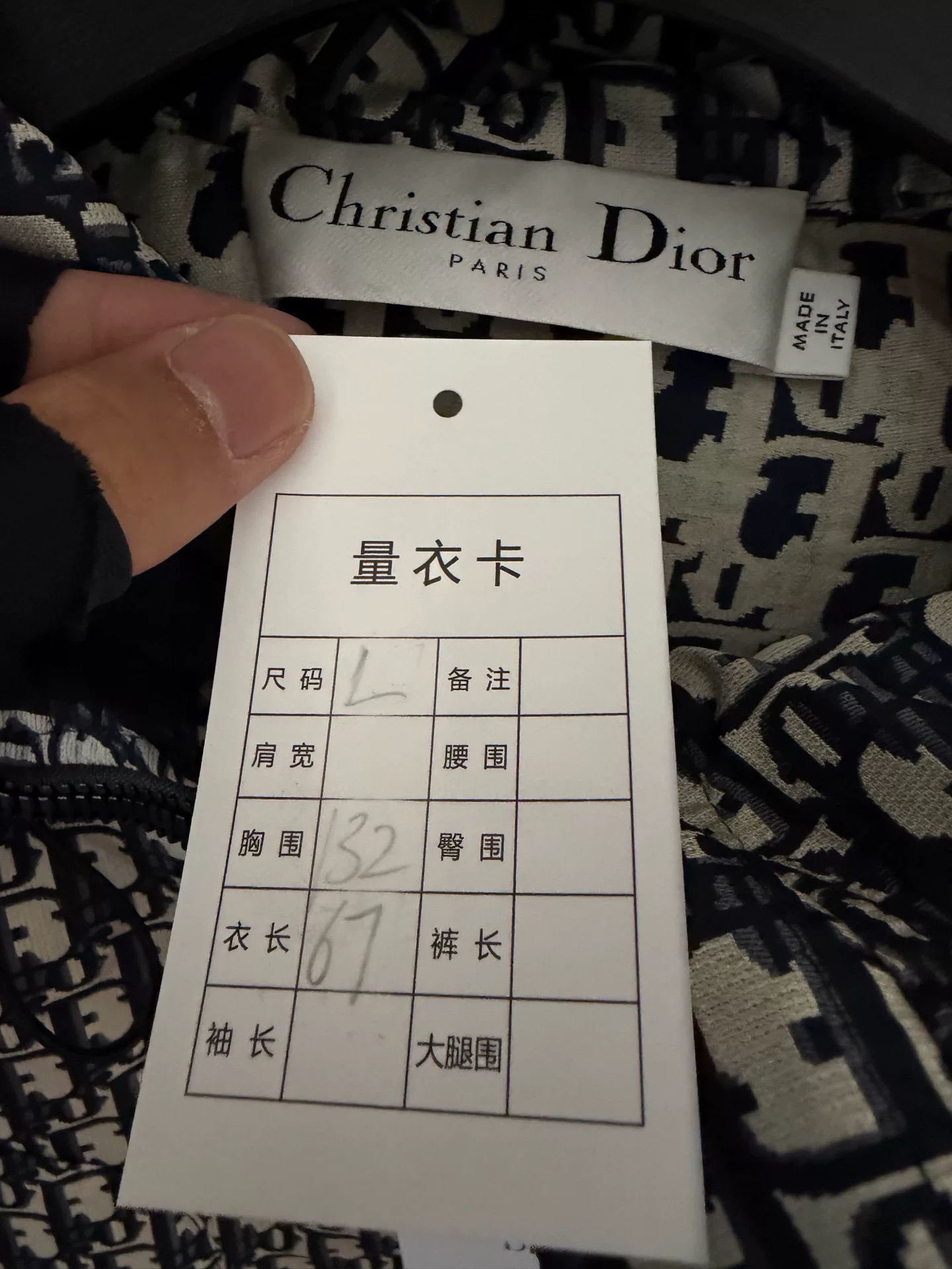 Dior Full Logo Zip-Up Hooded Jacket — detail