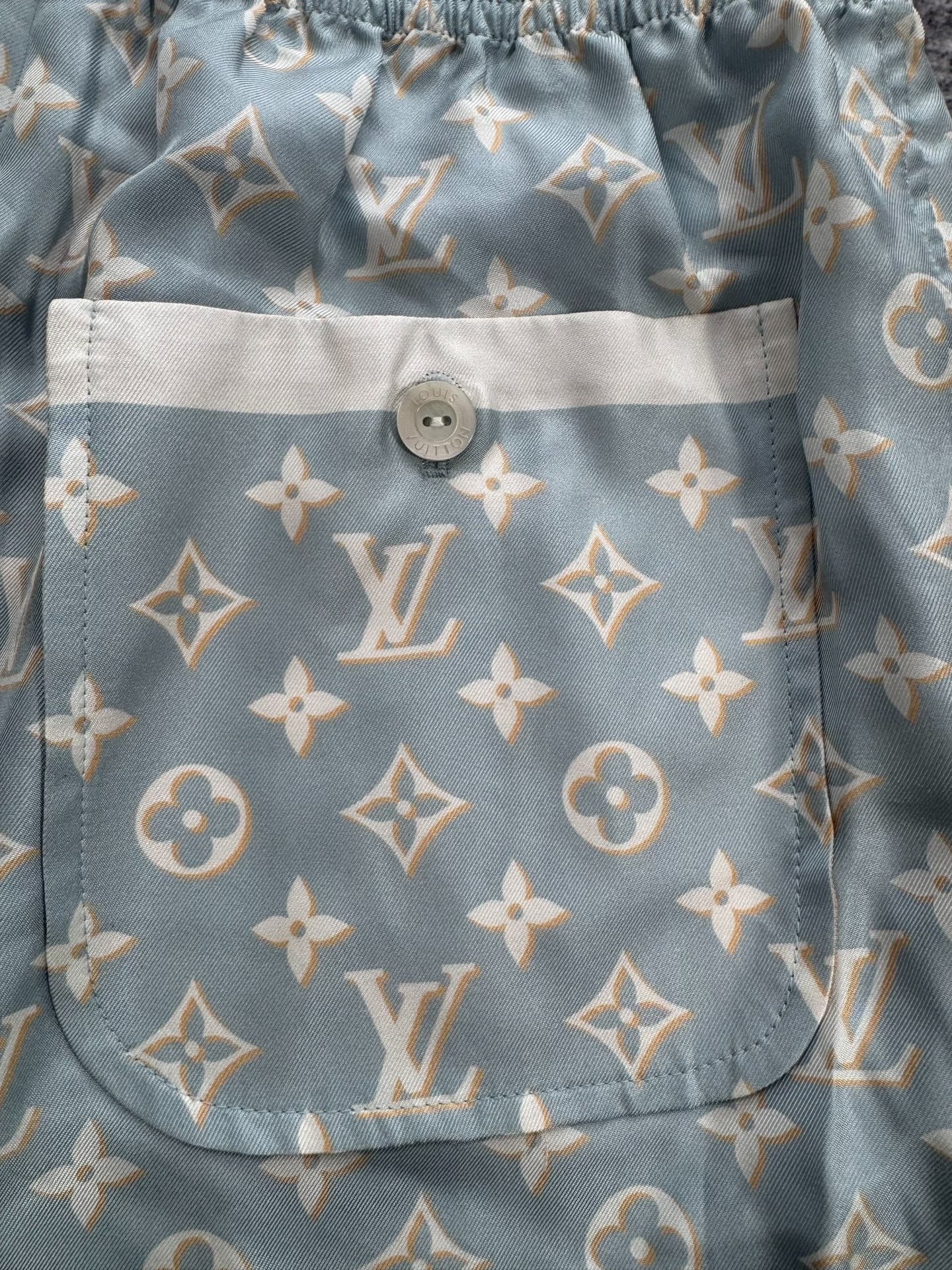 Louis Vuitton Monogram Silk Shorts — back