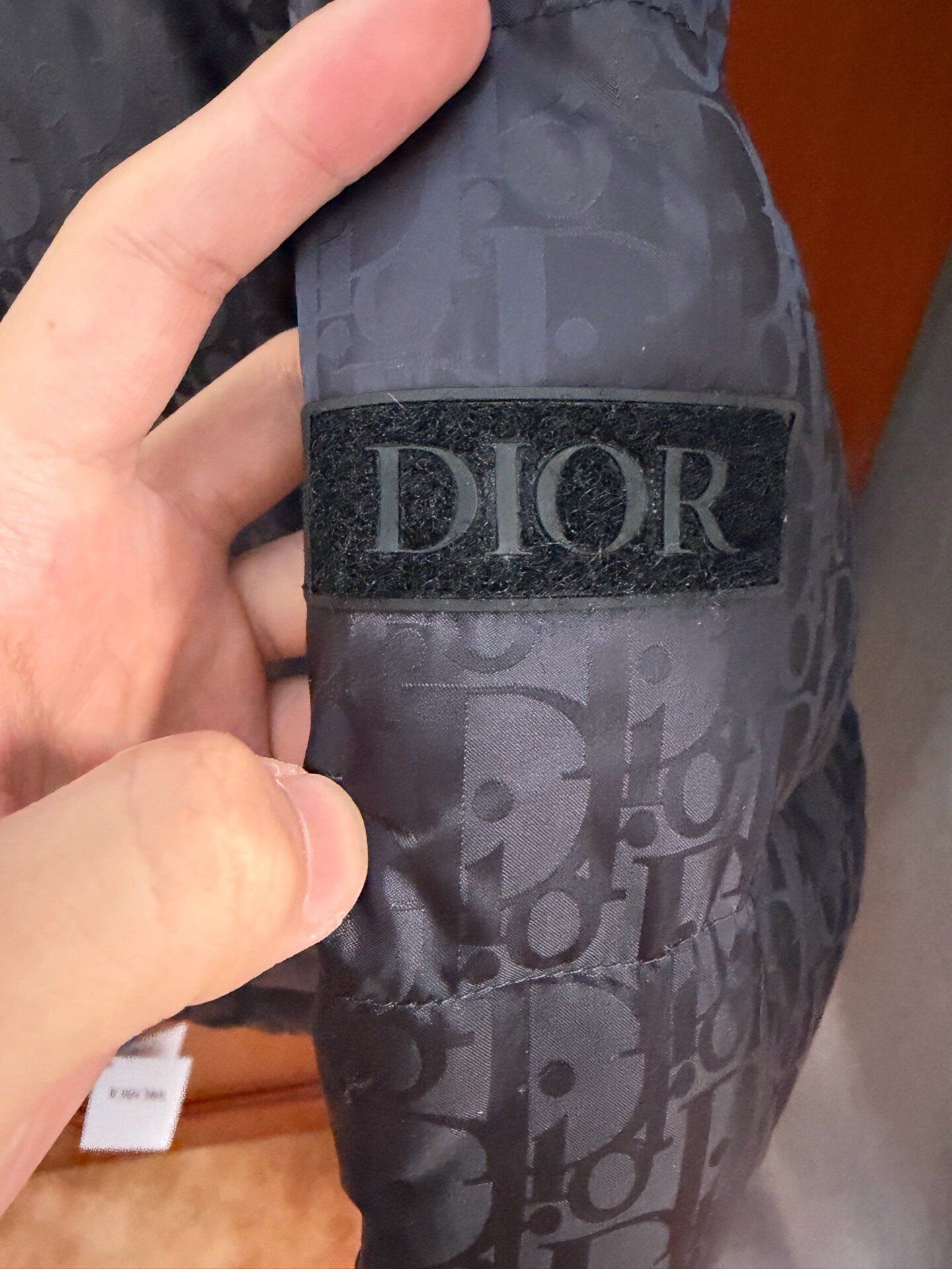 Dior Full Logo Black Down Jacket — back