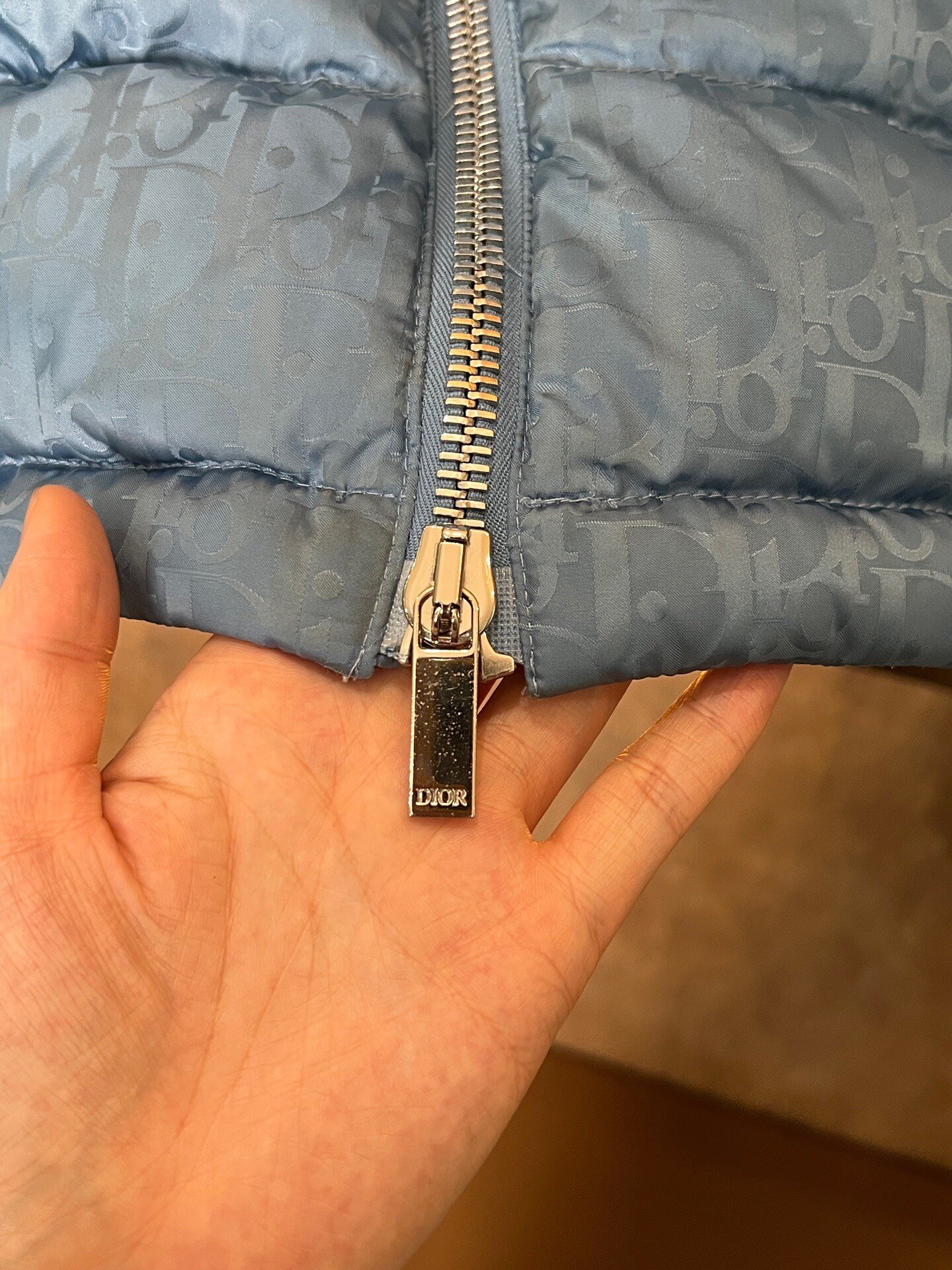 Dior Blue All-Over Print Down Jacket — back
