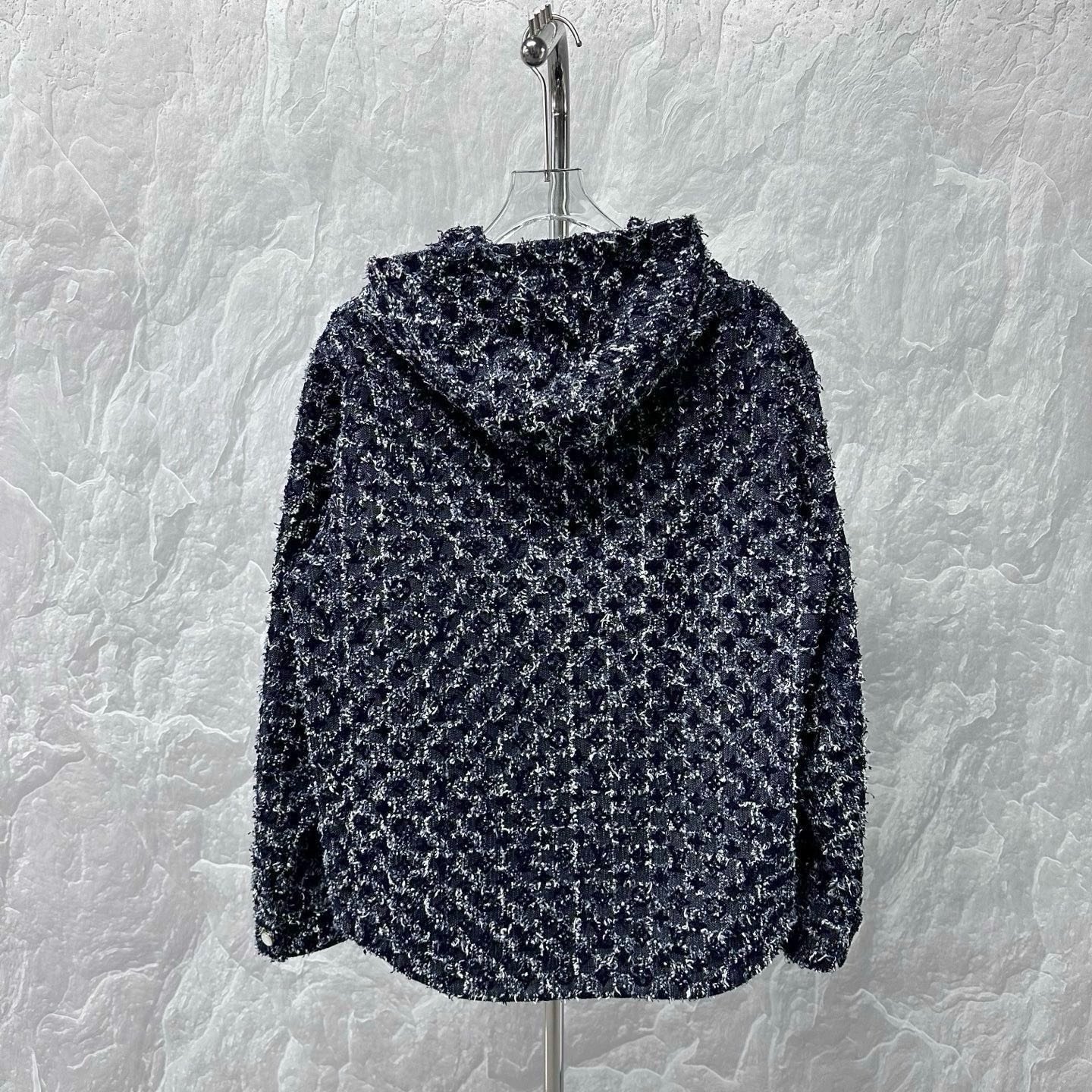Louis Vuitton FW25 Flocked Monogram Hooded Jacket — back