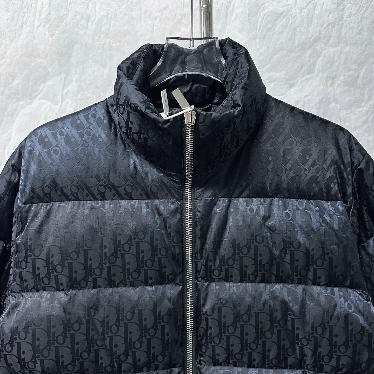 Dior All-Over Logo Stand-Collar Down Jacket — front
