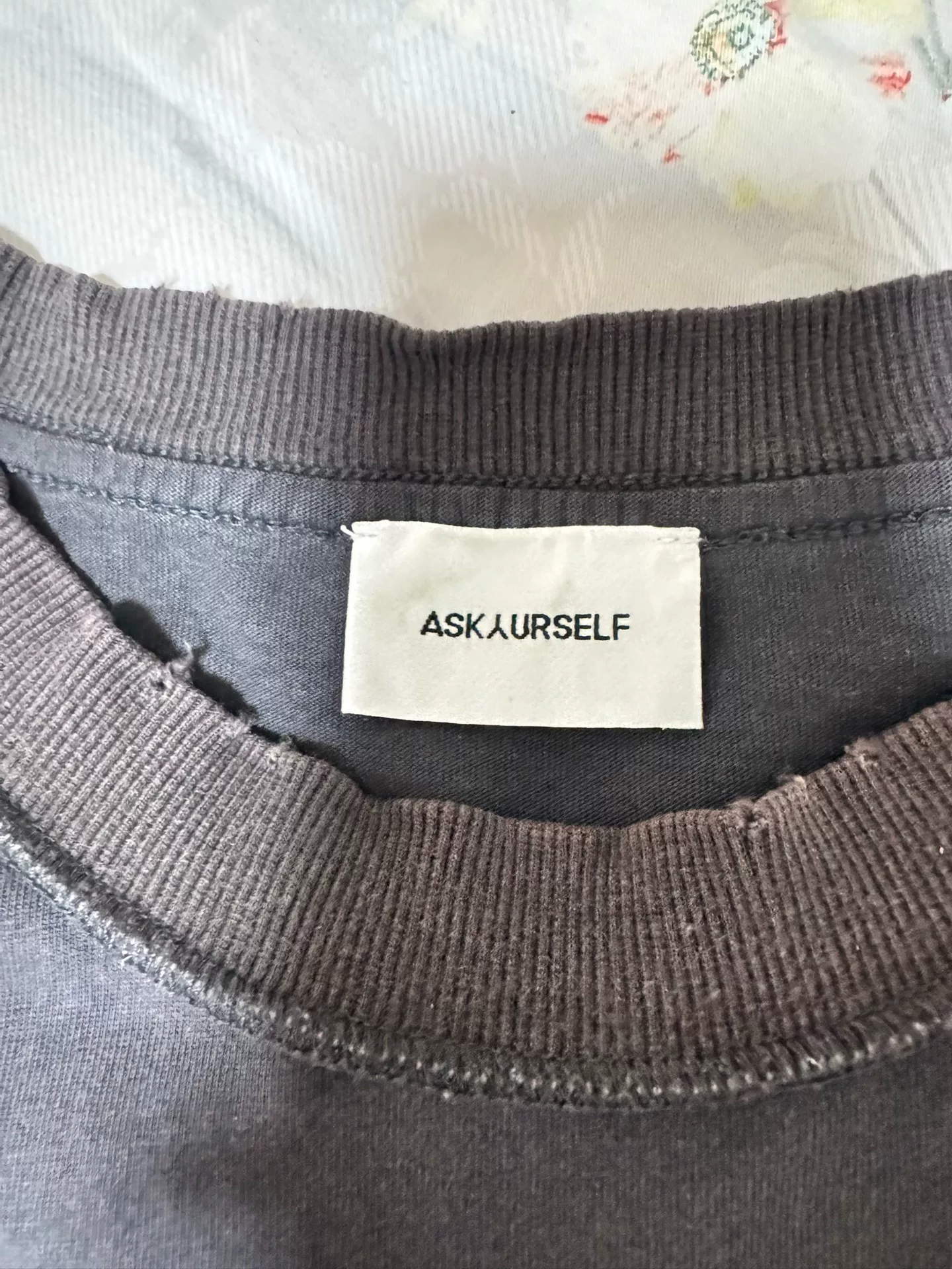 Askyurself DMX Limited Rottweiler Distressed Tee — back