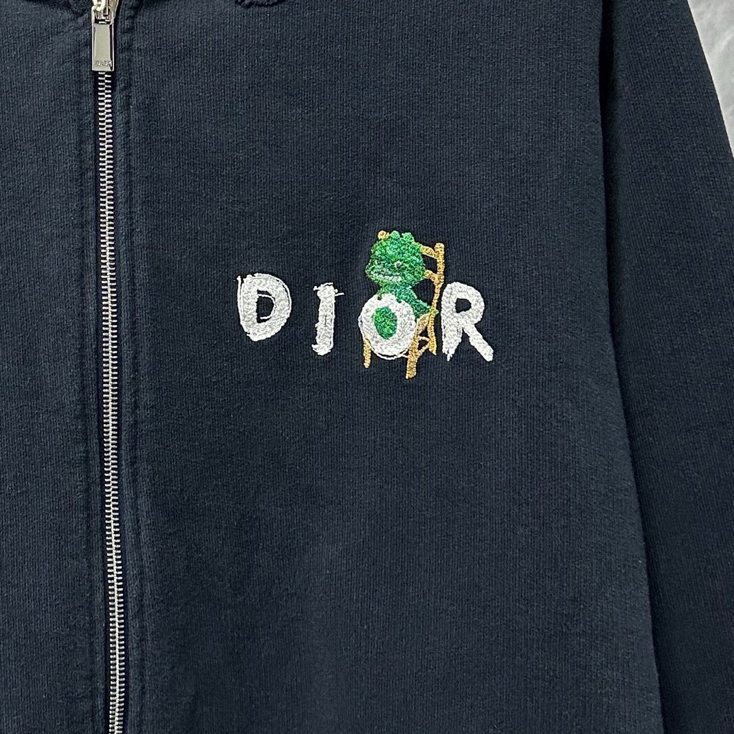 Dior SS24 Dragon Logo Distressed Hoodie — detail