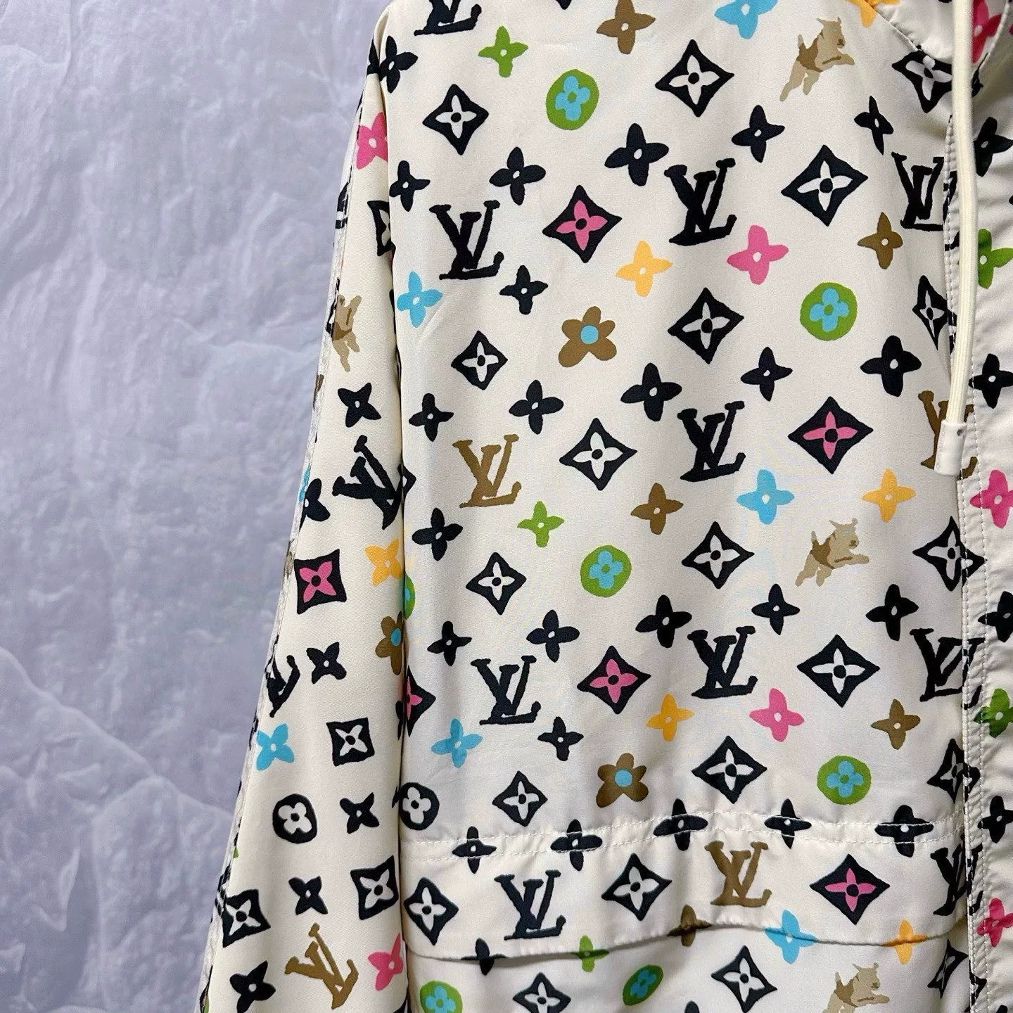Louis Vuitton Colorful Monogram Hooded Jacket — back