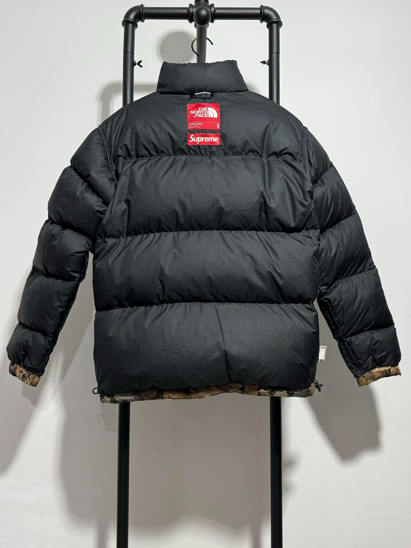 Supreme x The North Face Leaf Down Jacket — back