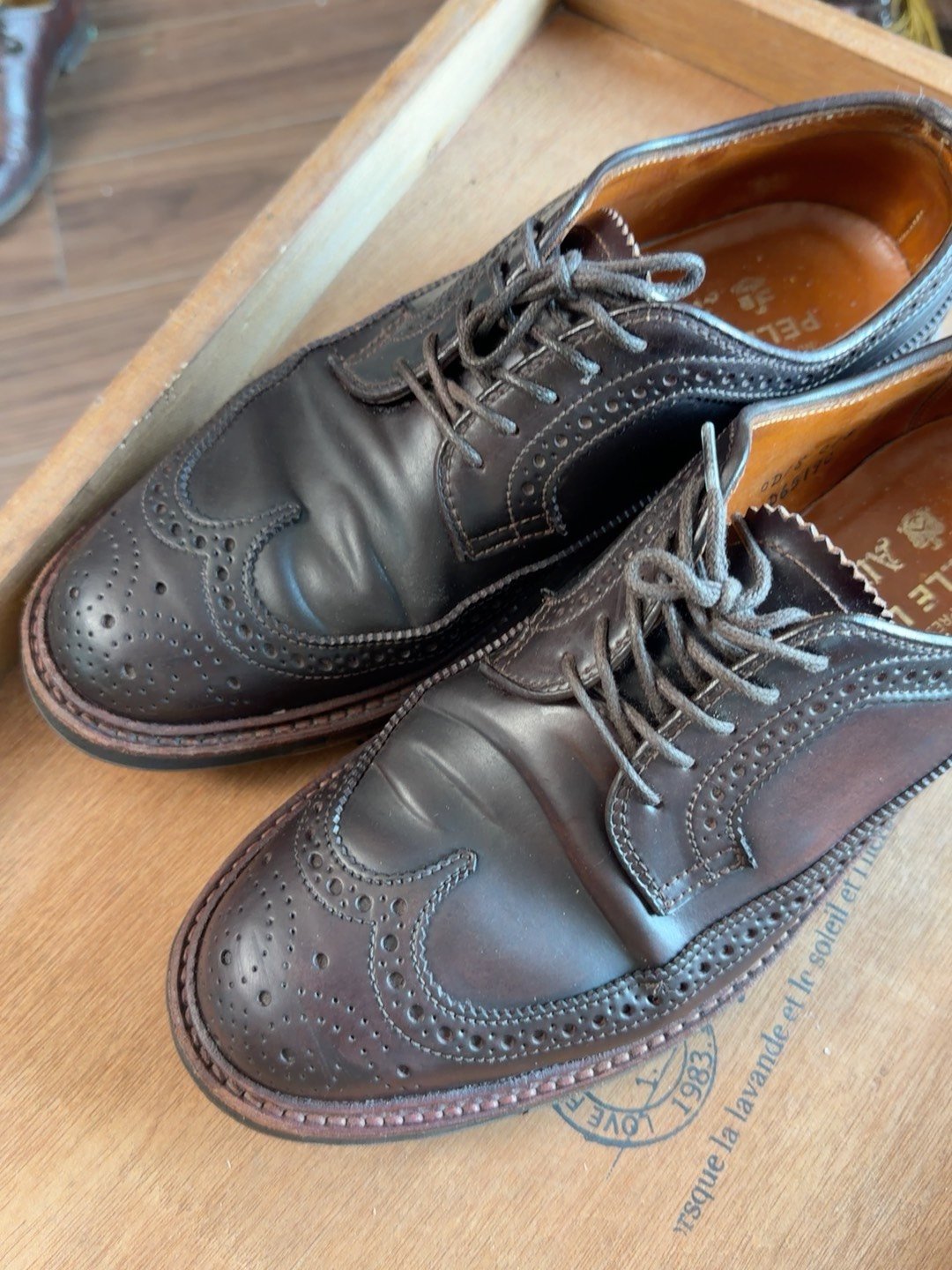 Alden LongWing 975 Shell Cordovan Brogue — back