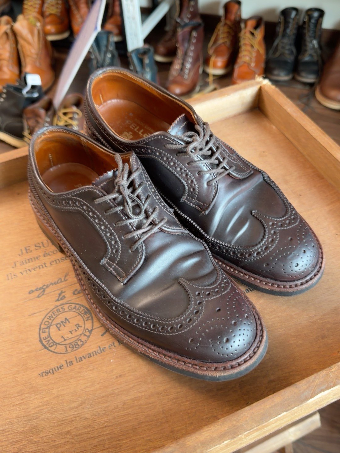 Alden LongWing 975 Shell Cordovan Brogue