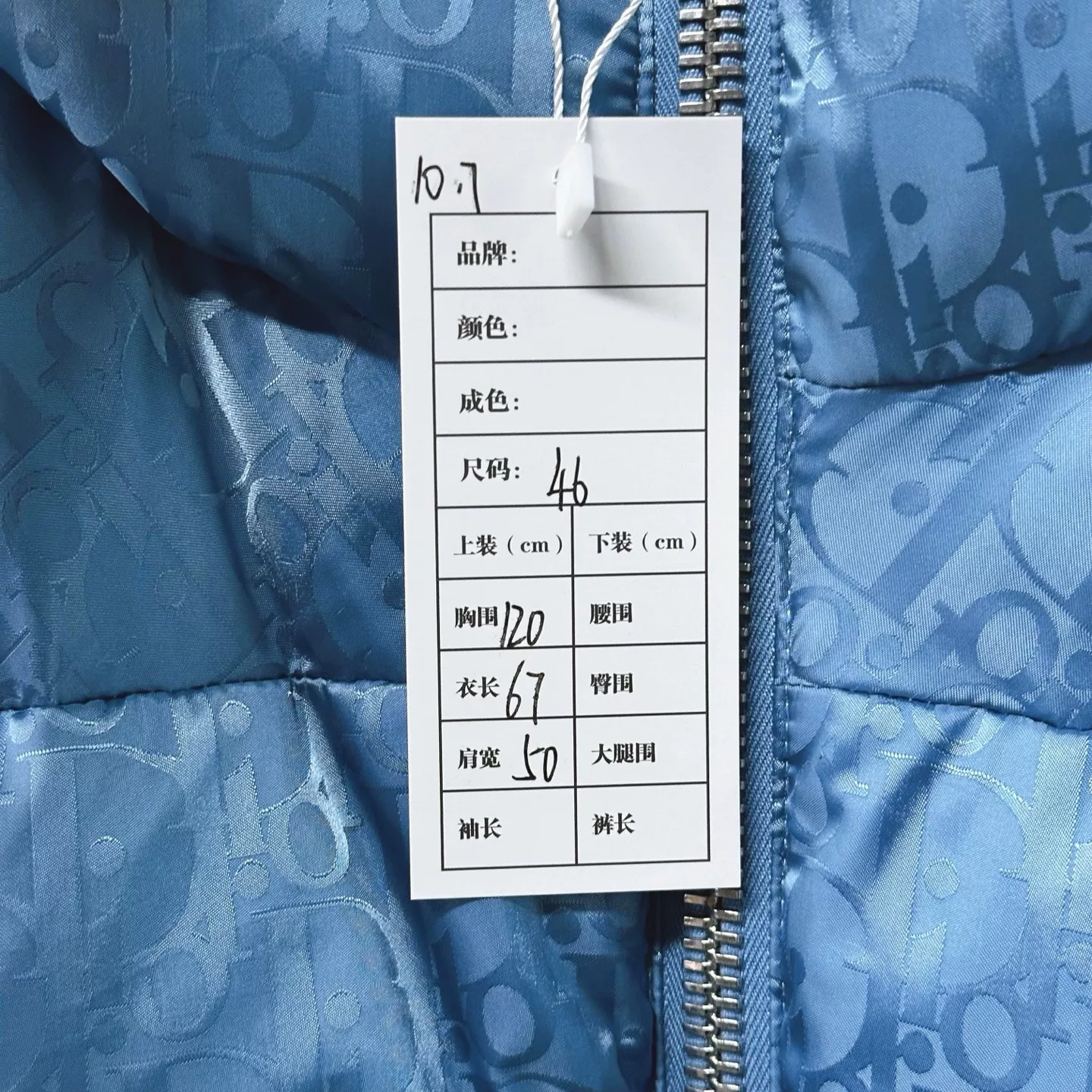 Dior Blue Stand Collar Logo Puffer Jacket — label