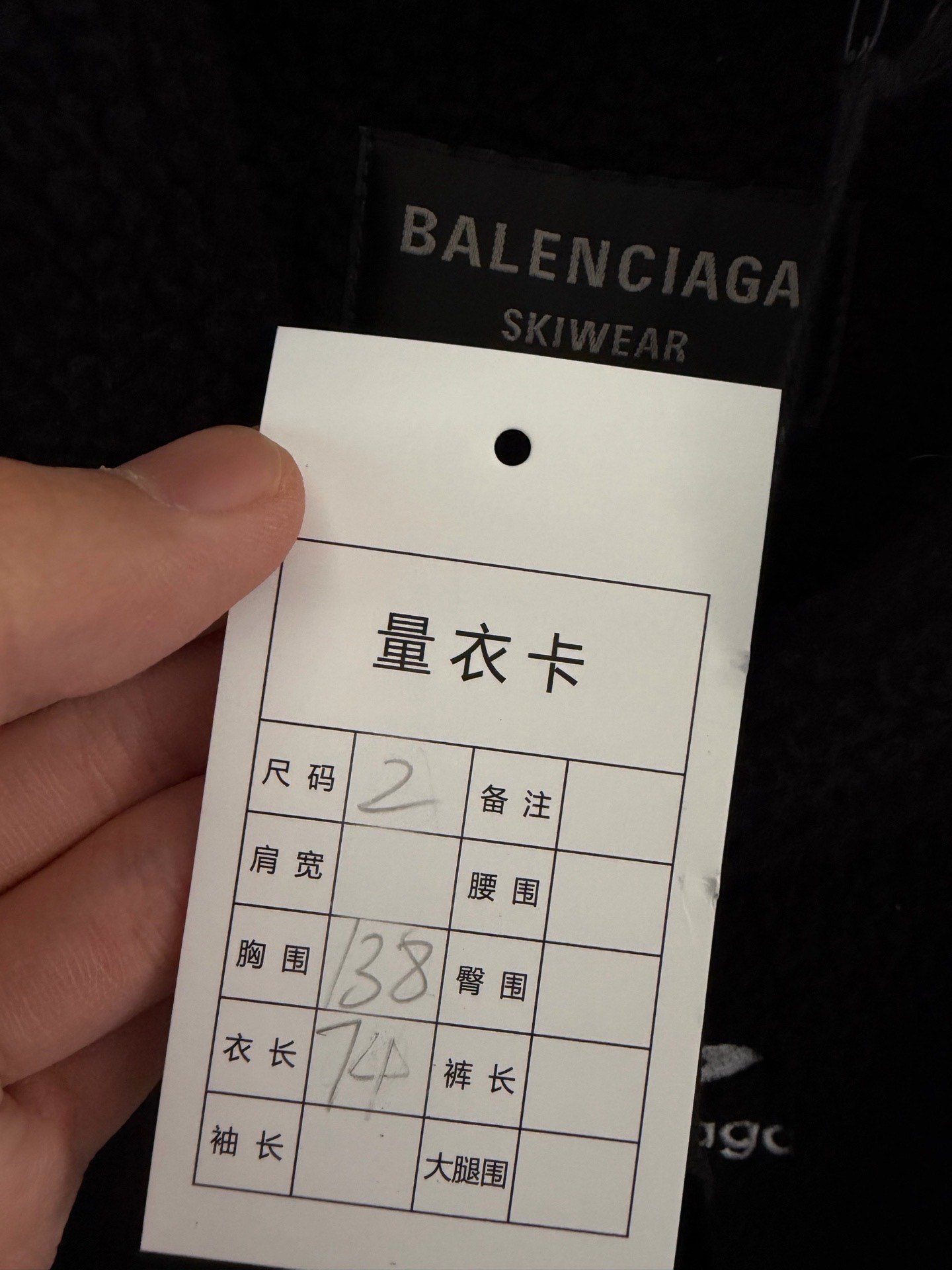 Balenciaga Ski Collection Fleece Hoodie — back