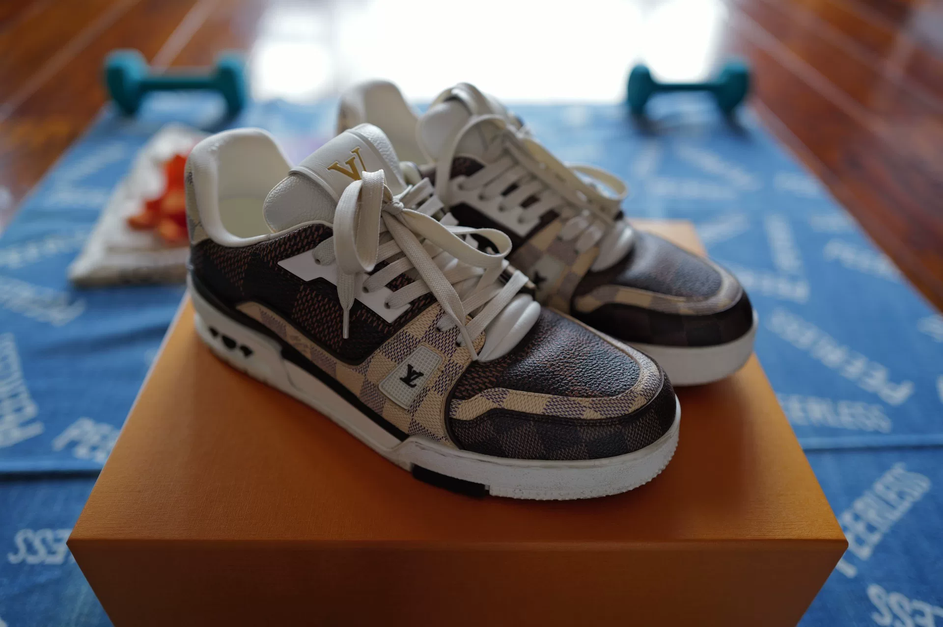 Louis Vuitton Trainer Checkerboard