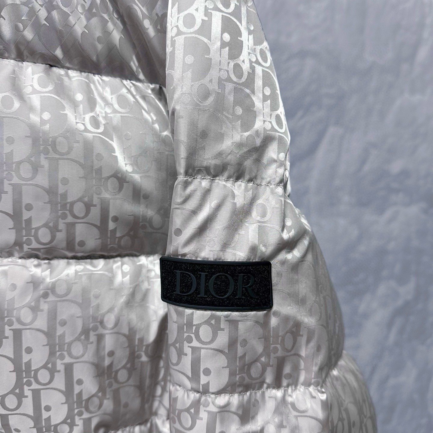 Dior Silver Logo Stand Collar Puffer Jacket — detail