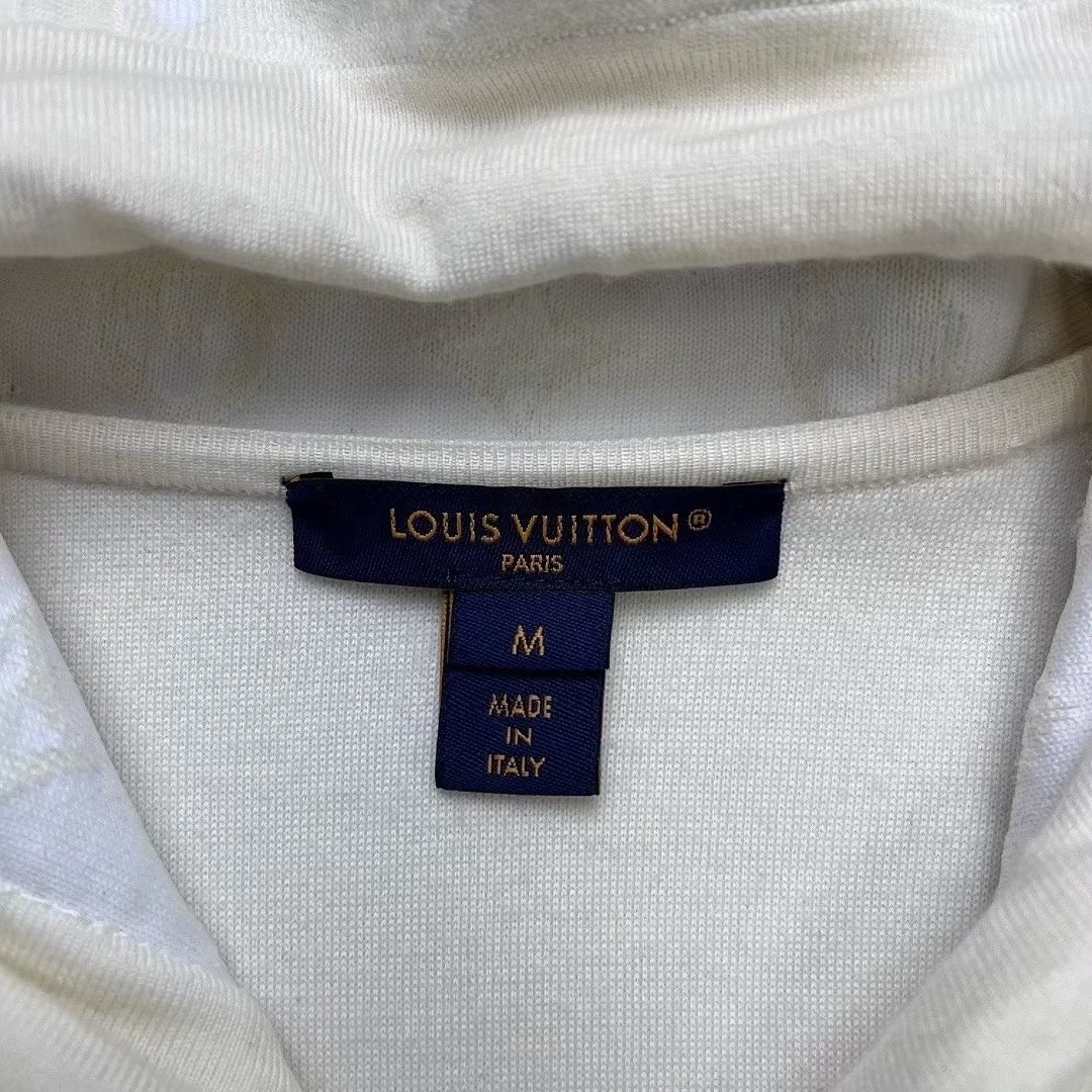 Louis Vuitton 2025 Monogram Zip Hoodie — detail