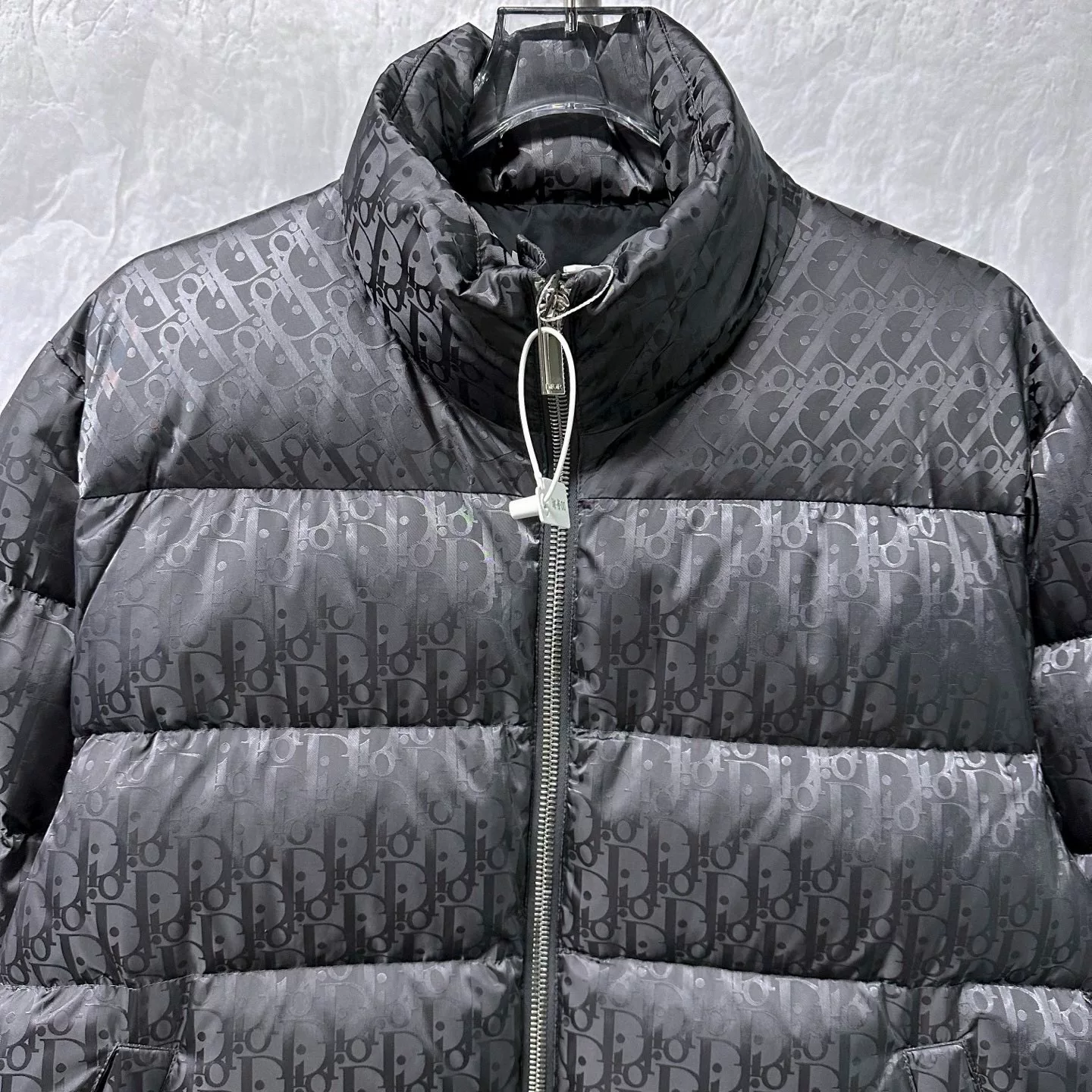 Dior All-Over Logo Stand Collar Down Jacket — front