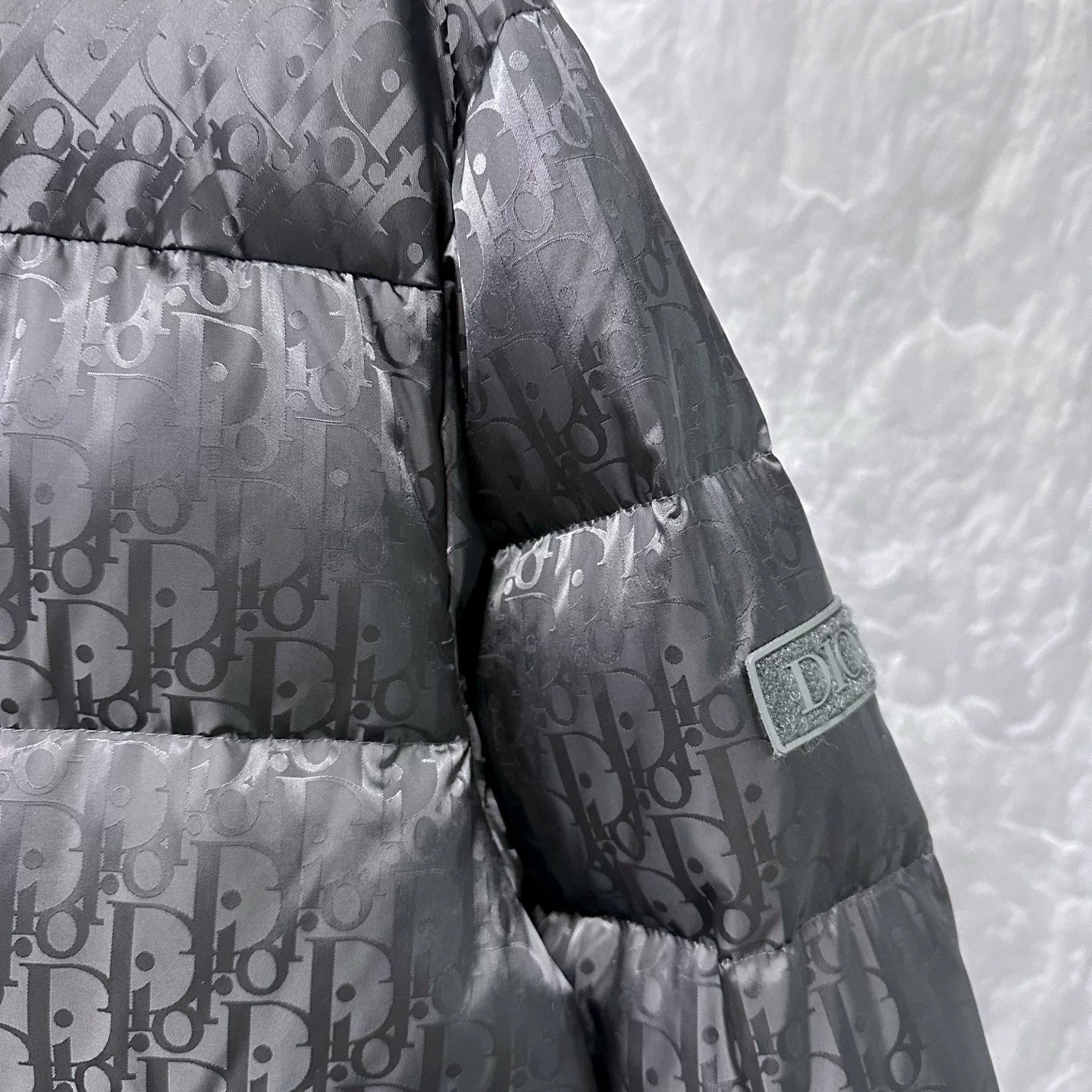 Dior All-Over Logo Stand Collar Down Jacket — detail
