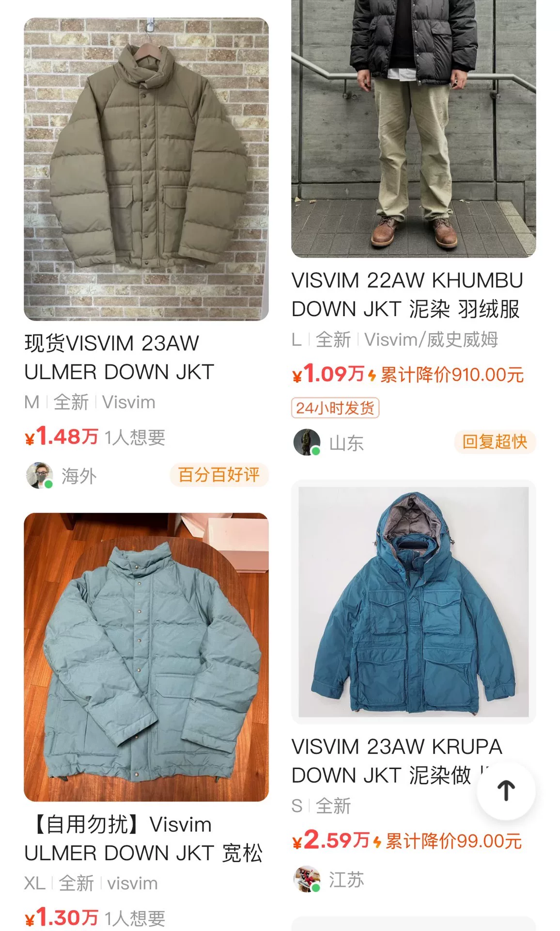 visvim ulmer down jkt 24ss — back
