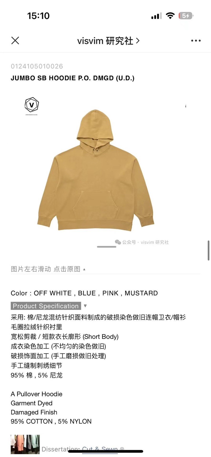 VISVIM 24SS JUMBO SB HOODIE — back