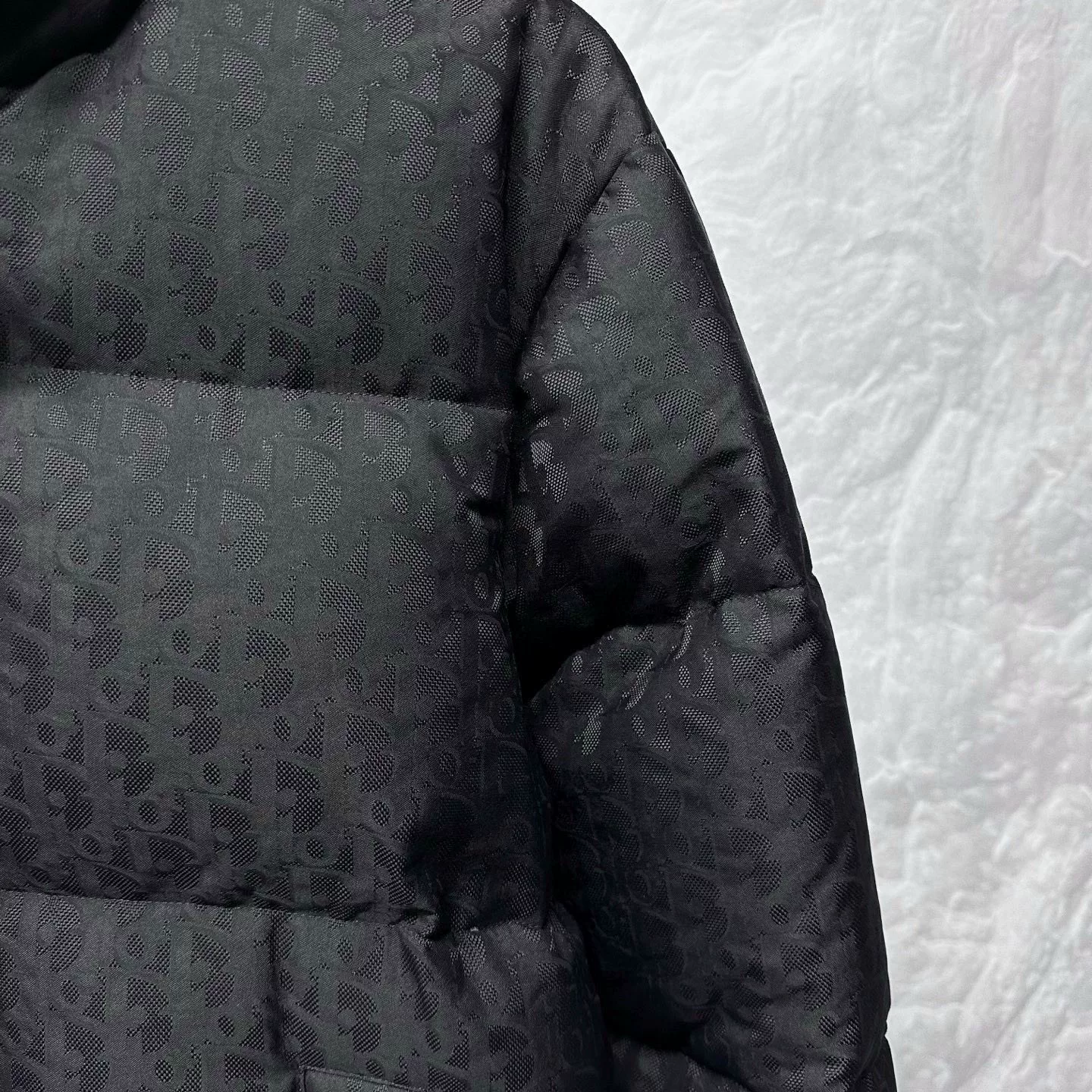 Dior Oblique Pattern Down Jacket — detail