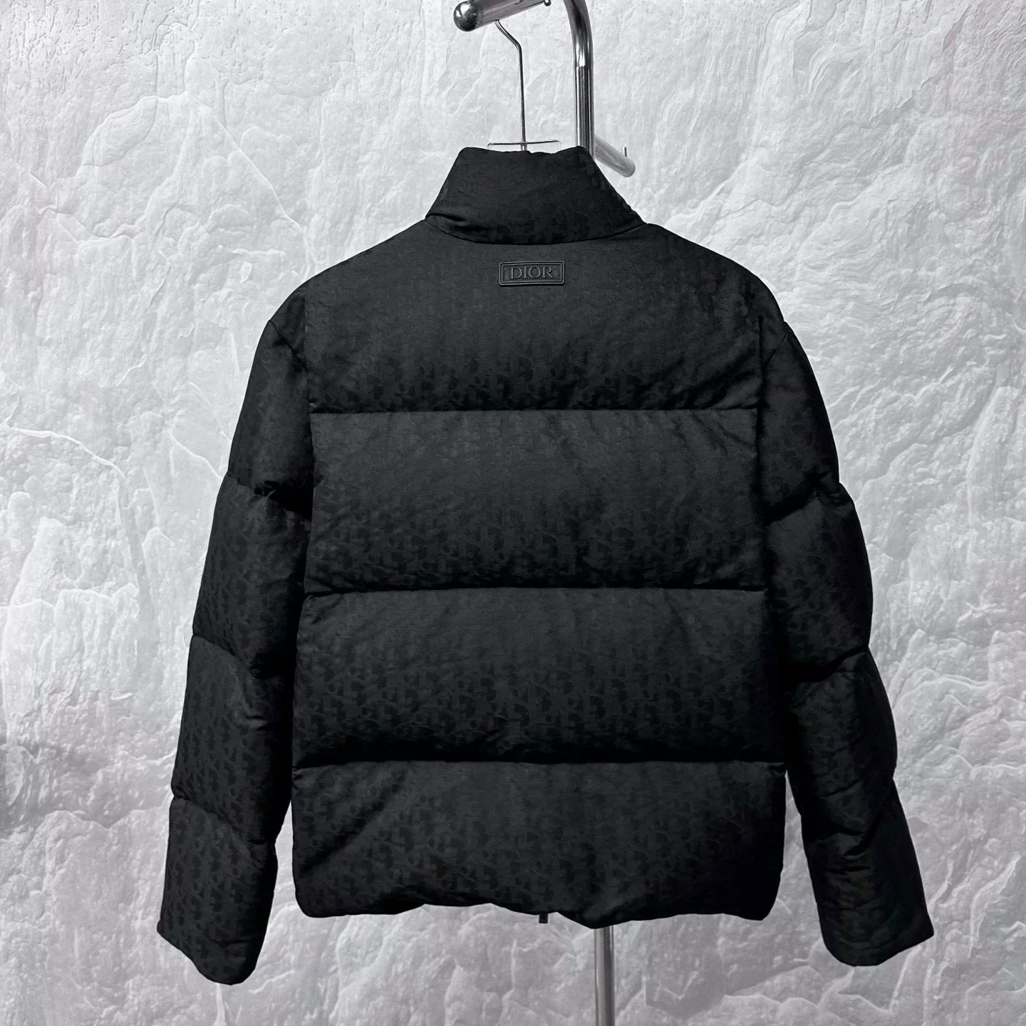 Dior Oblique Pattern Down Jacket — back