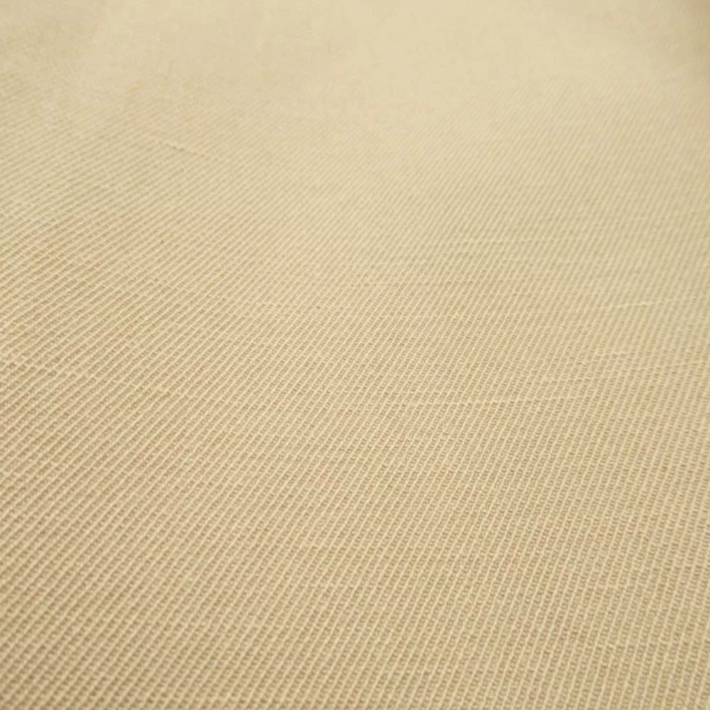 VISVIM 21ss CHINO PANTS HW W/L — label