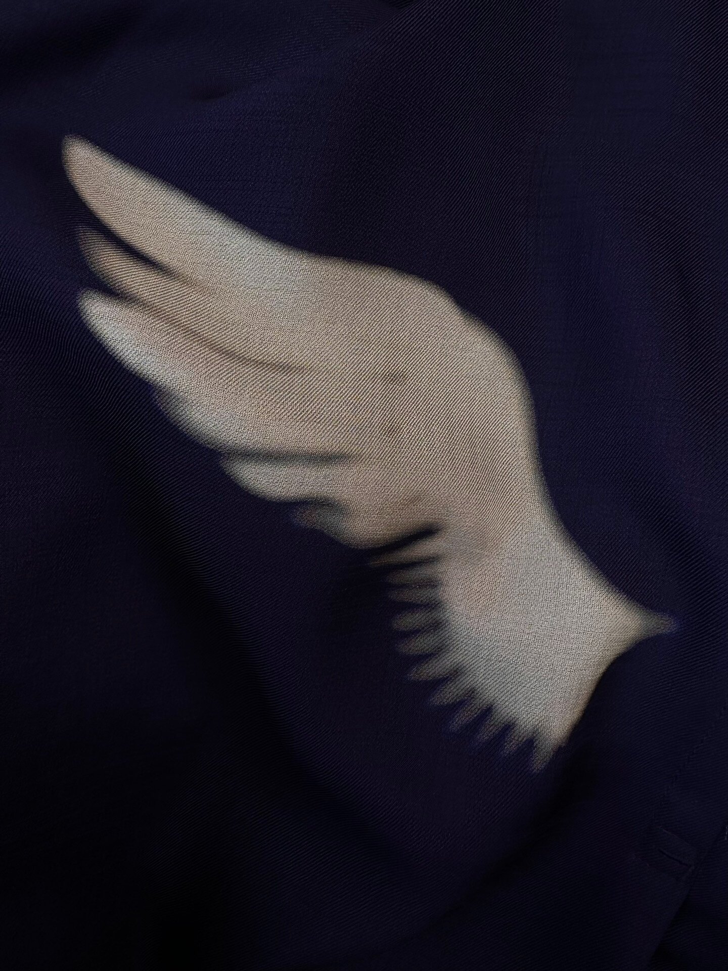 Yohji Yamamoto 2002AW Wings Runway Coat — back