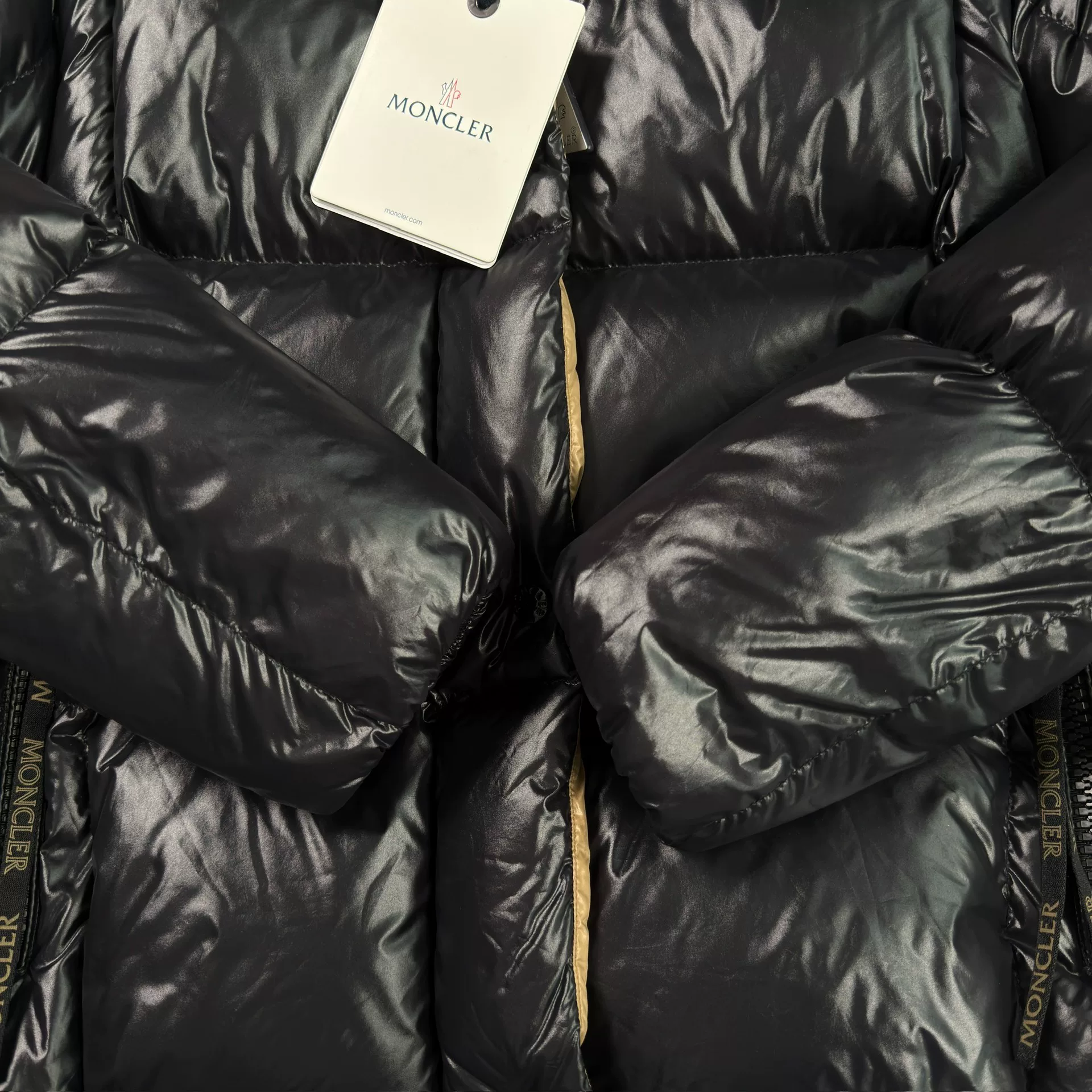 Moncler Parana Black Down Jacket — back