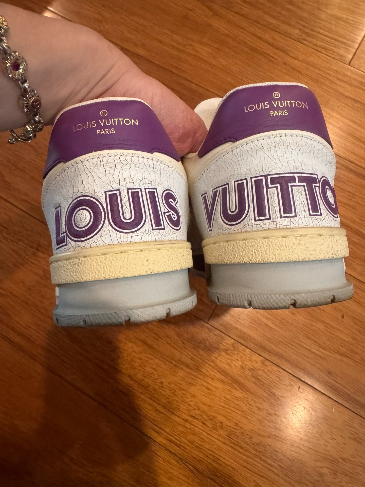 Louis Vuitton Trainer Sneakers — back