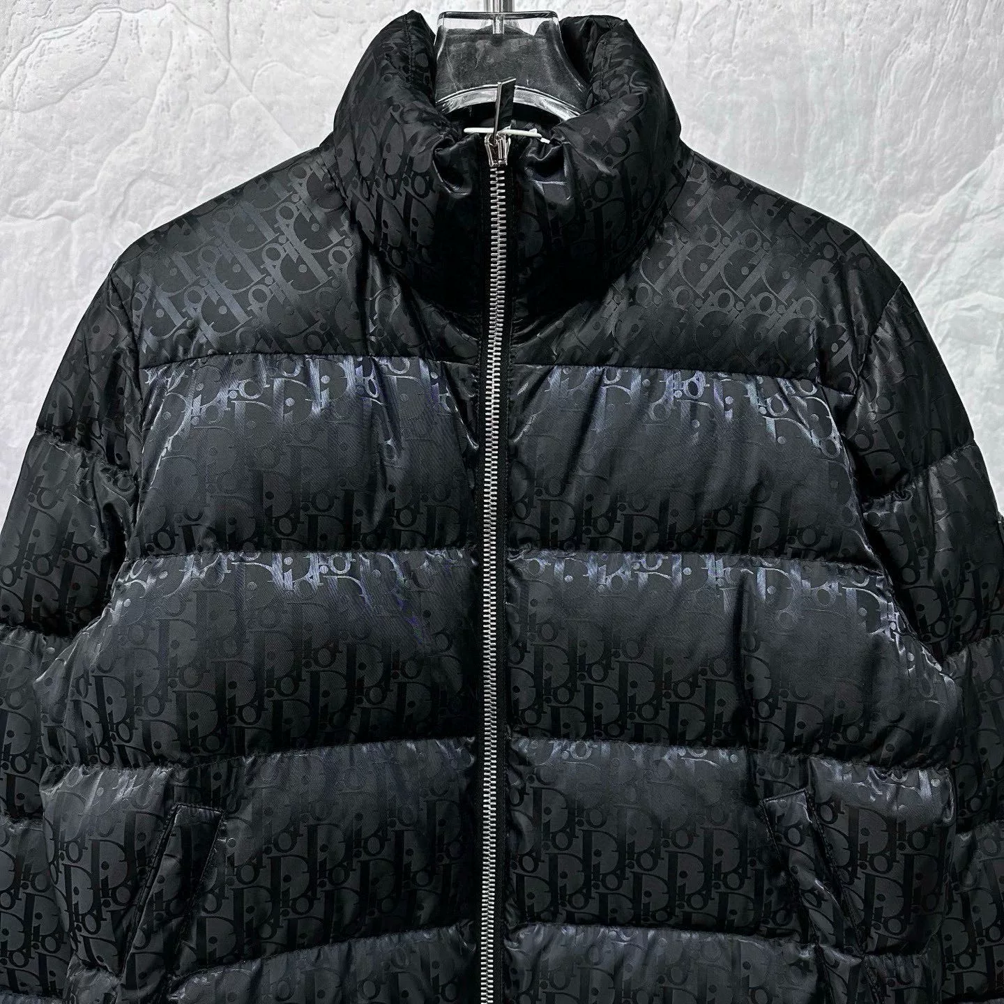 Dior High Collar Logo Down Jacket — front