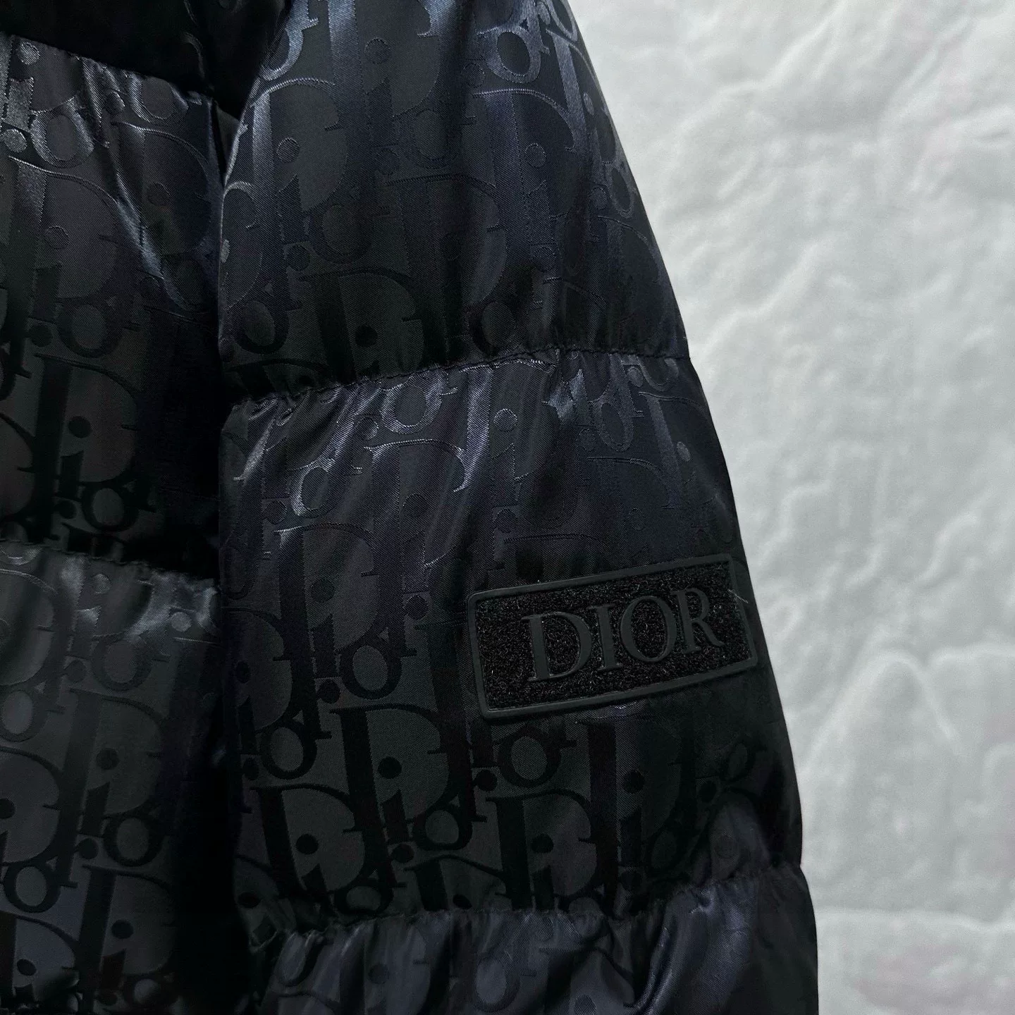Dior High Collar Logo Down Jacket — detail