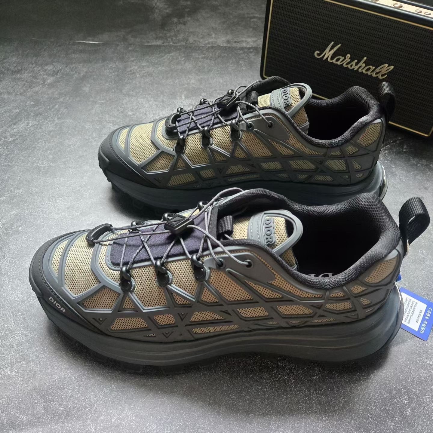 Dior B31 Beige Gray Shoes