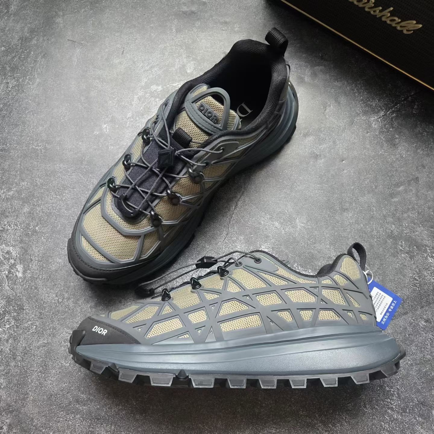 Dior B31 Beige Gray Shoes — back