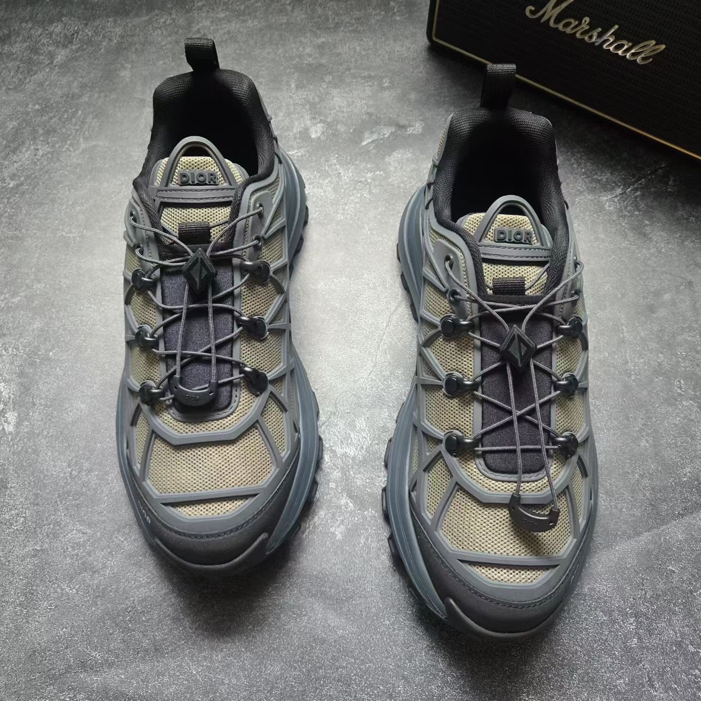 Dior B31 Beige Gray Shoes — front
