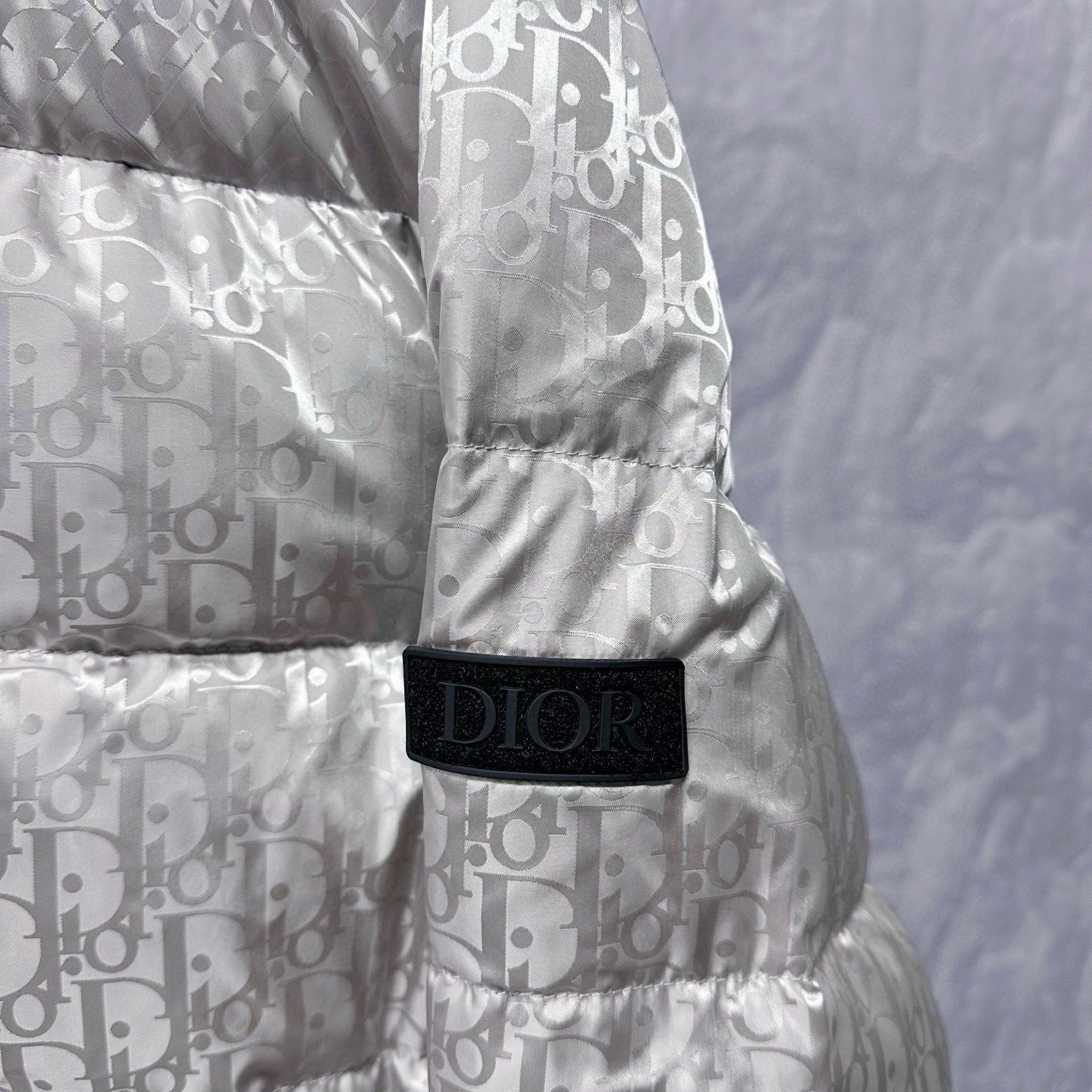 Dior Stand-Collar All-Over Logo Down Jacket — back