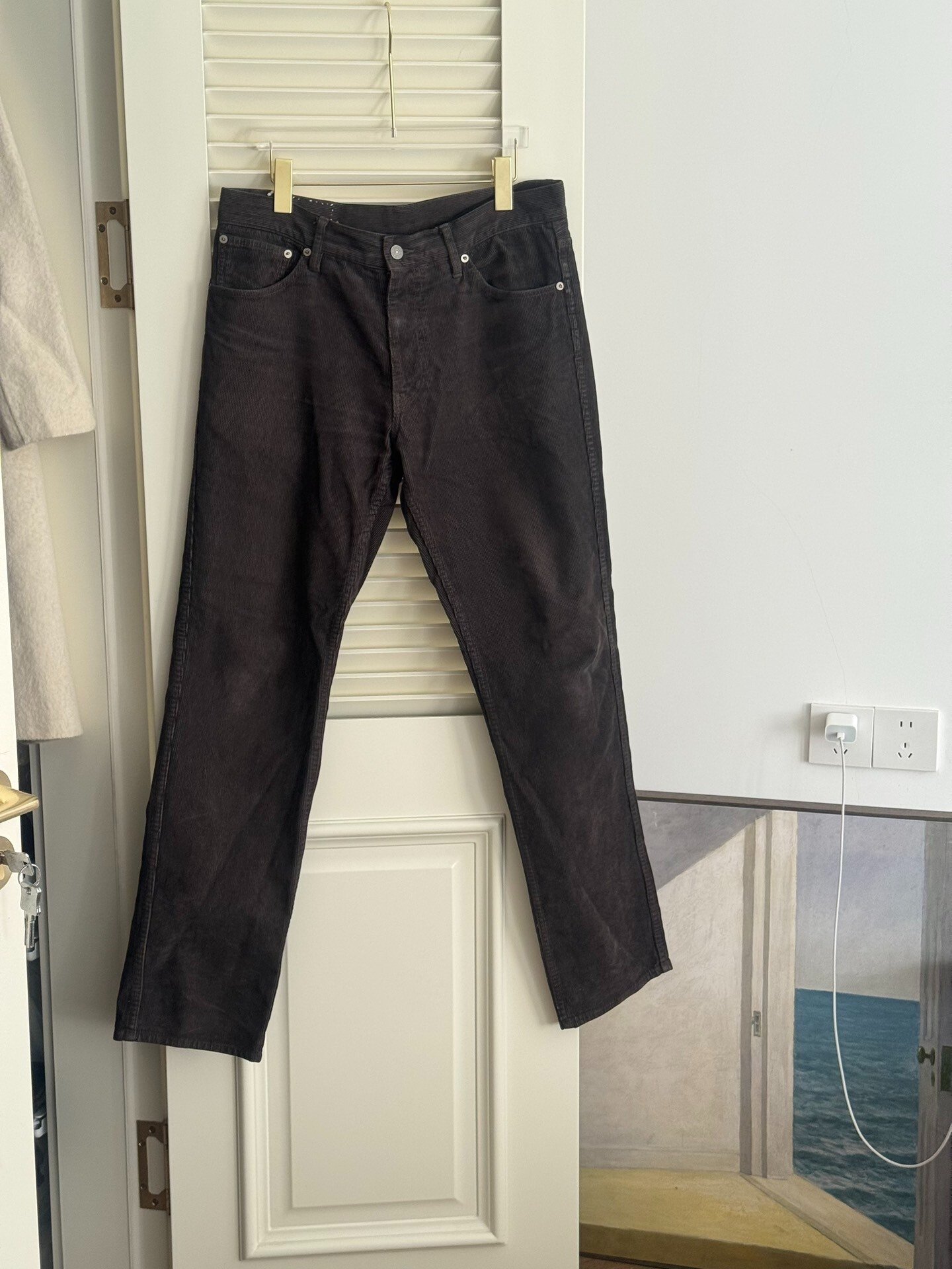 visvim fluxus 03 cords 21AW