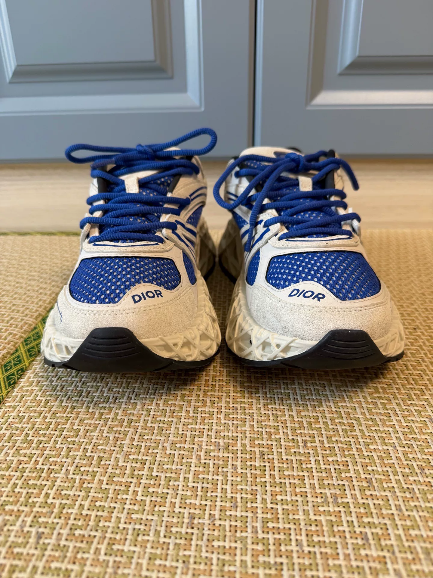 Dior B35 NXXT Blue White Sneakers — back