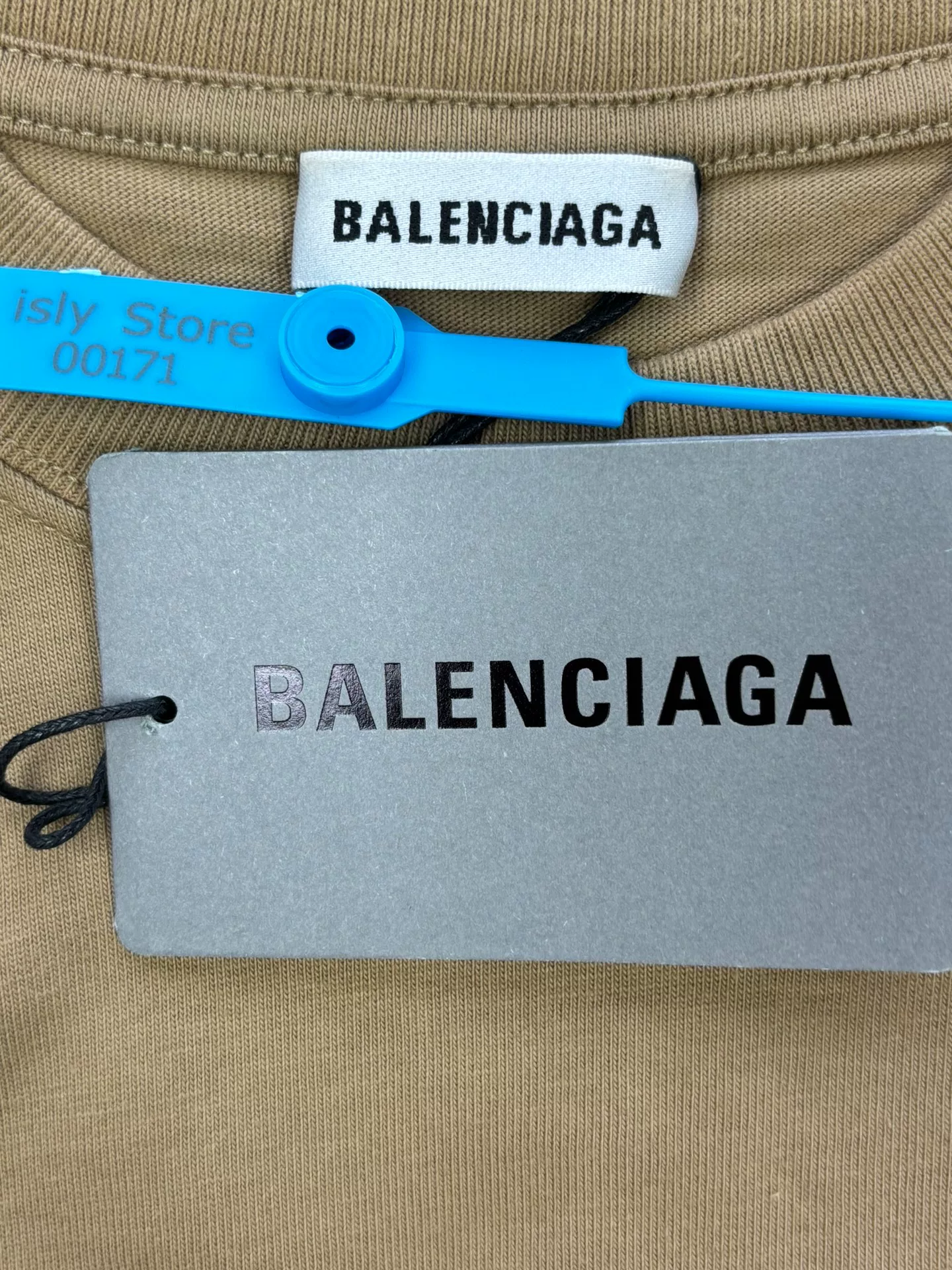 Balenciaga Camel Crew Neck Print T-Shirt — back