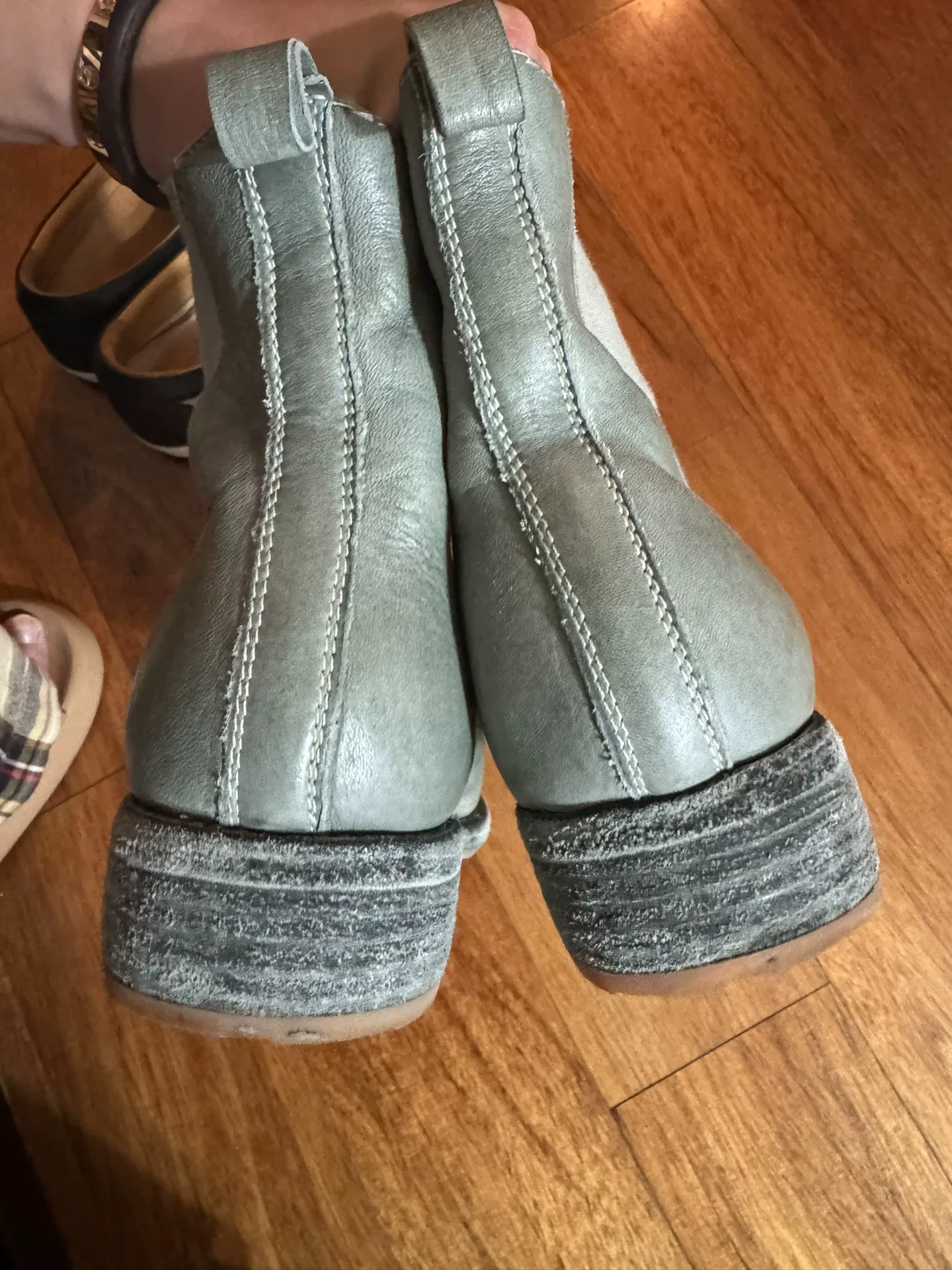 Guidi 96X Chelsea Boots — back