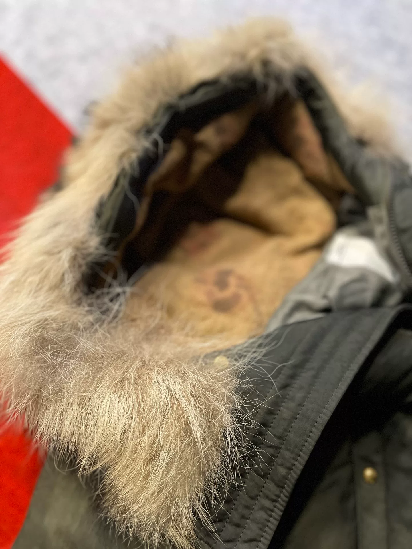 visvim 15AW Valdez Down Jacket — back