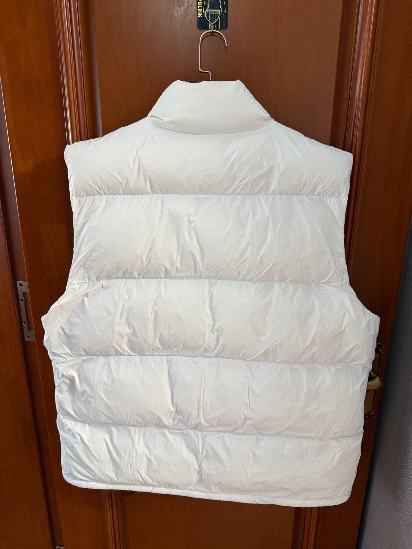 Balenciaga Ski Series Down Vest — front