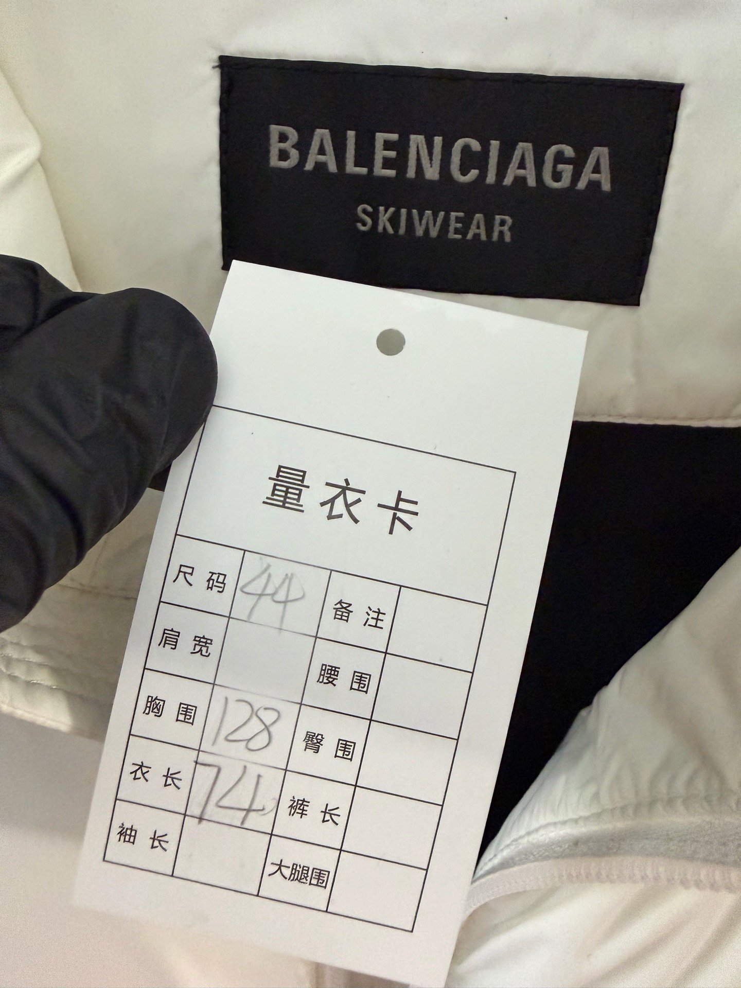 Balenciaga Ski Series Down Vest — back