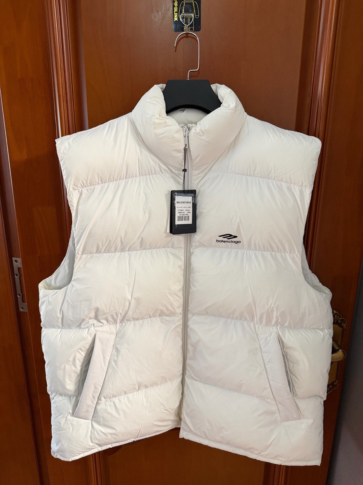 Balenciaga Ski Series Down Vest