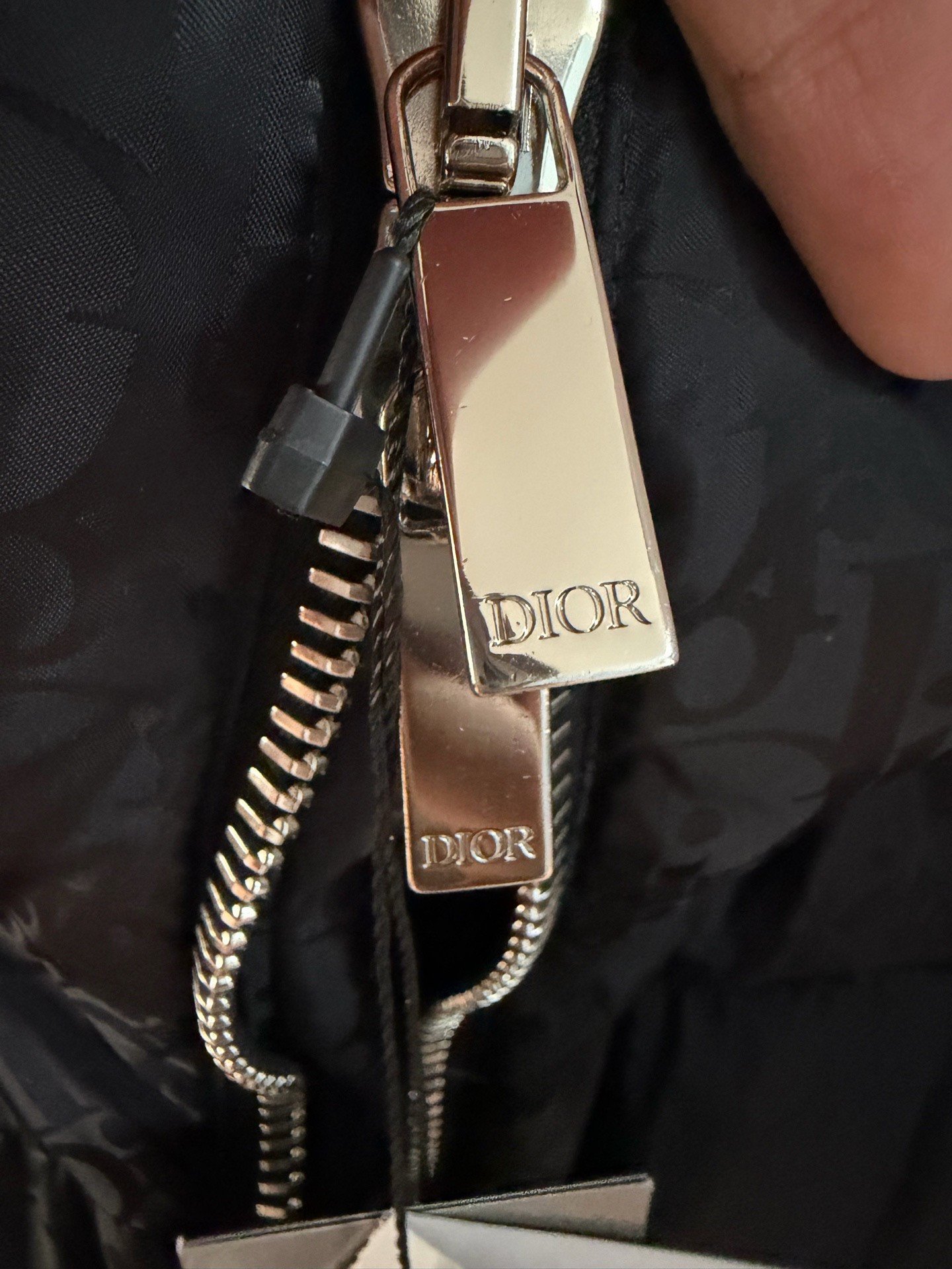 Dior Black Full Logo Down Jacket — back