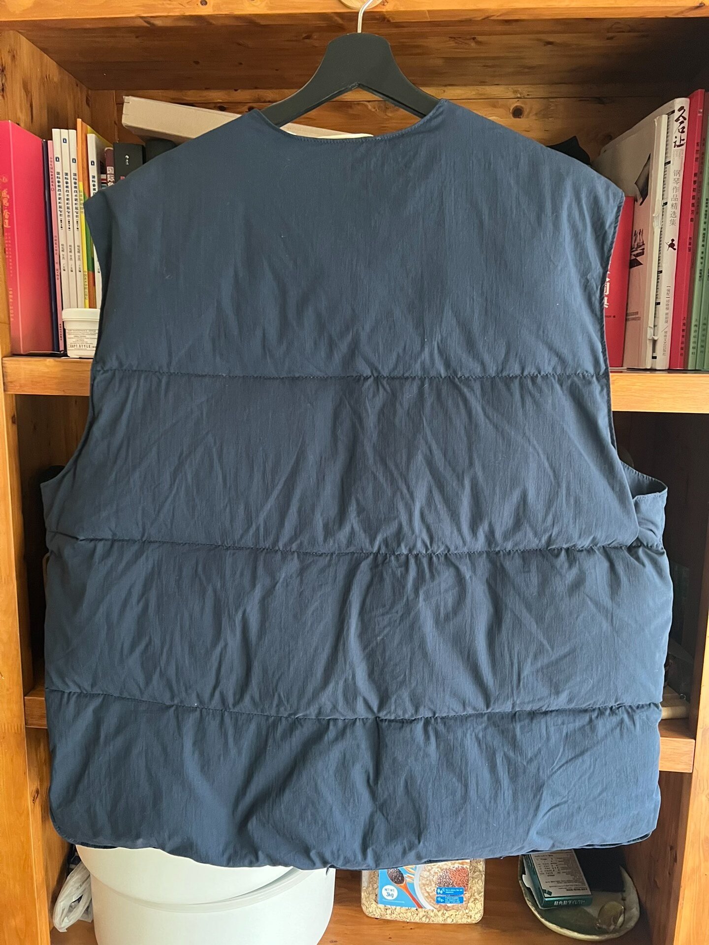 nanamica Blue Down Vest — back