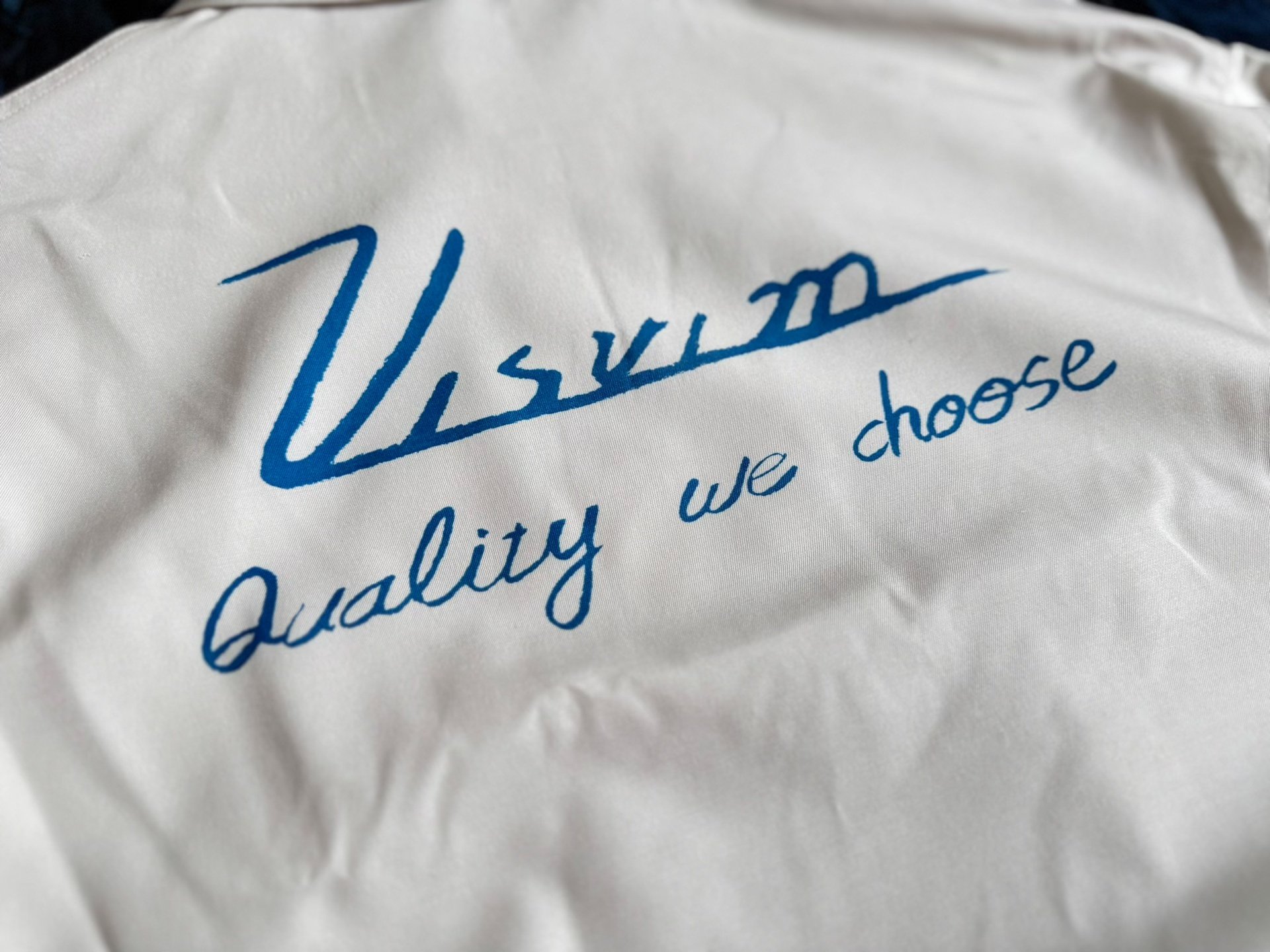 VISVIM 25SS SOMER SWING TOP Jacket — back