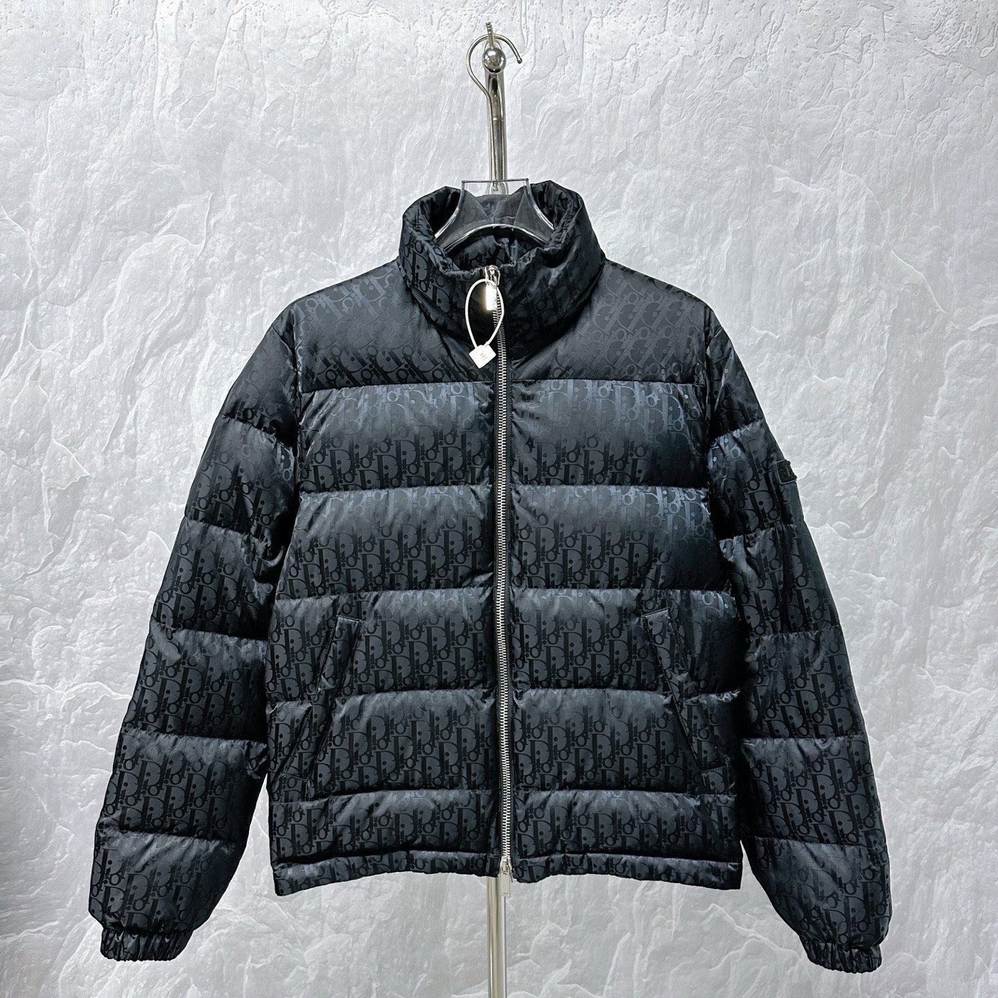 Dior Full-Logo Stand Collar Down Jacket