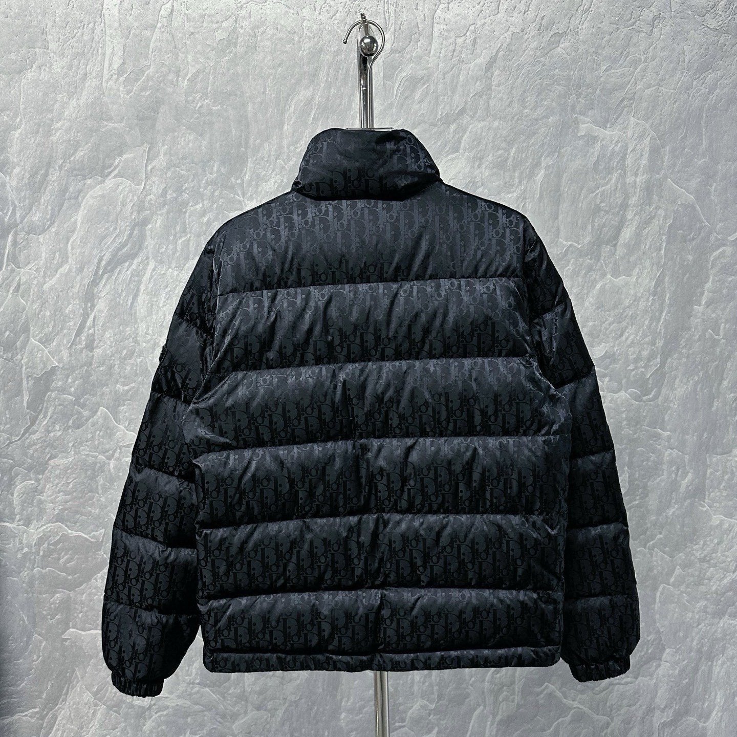 Dior Full-Logo Stand Collar Down Jacket — back