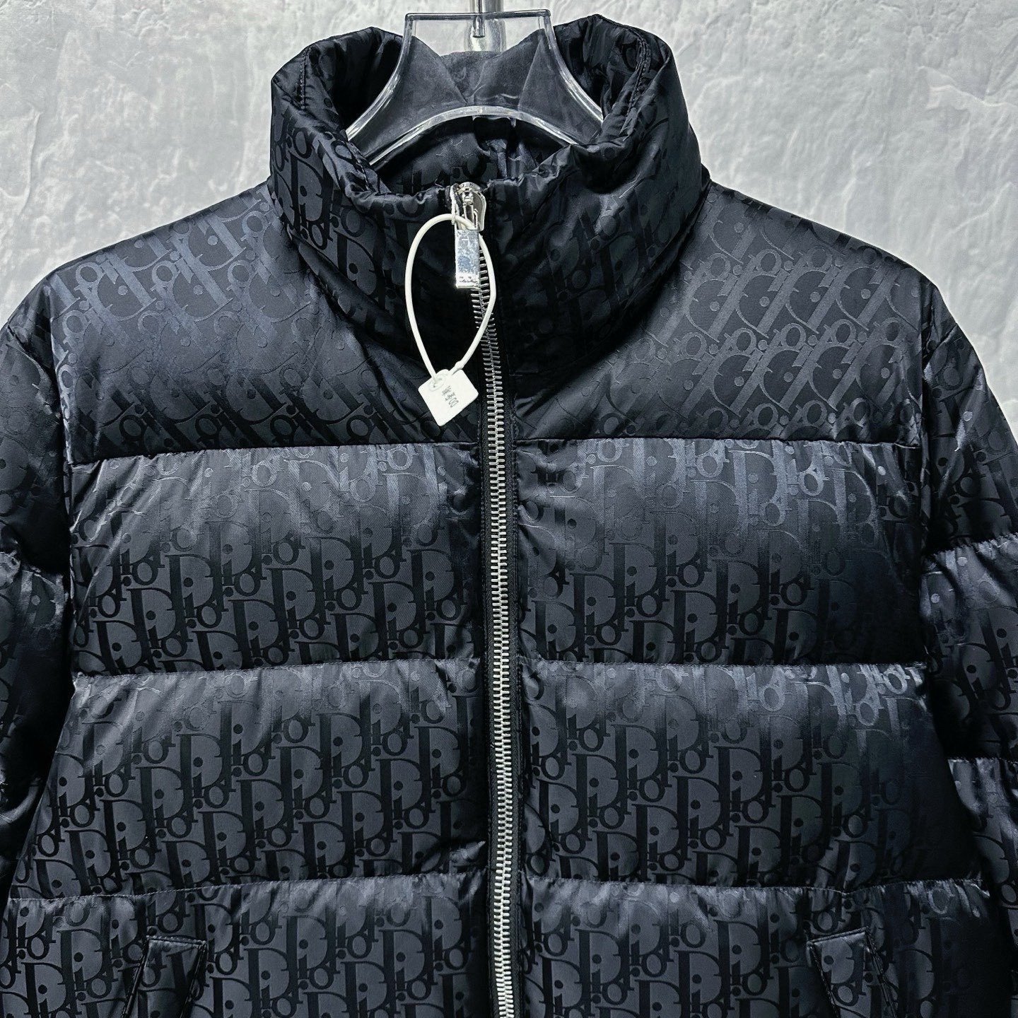 Dior Full-Logo Stand Collar Down Jacket — front