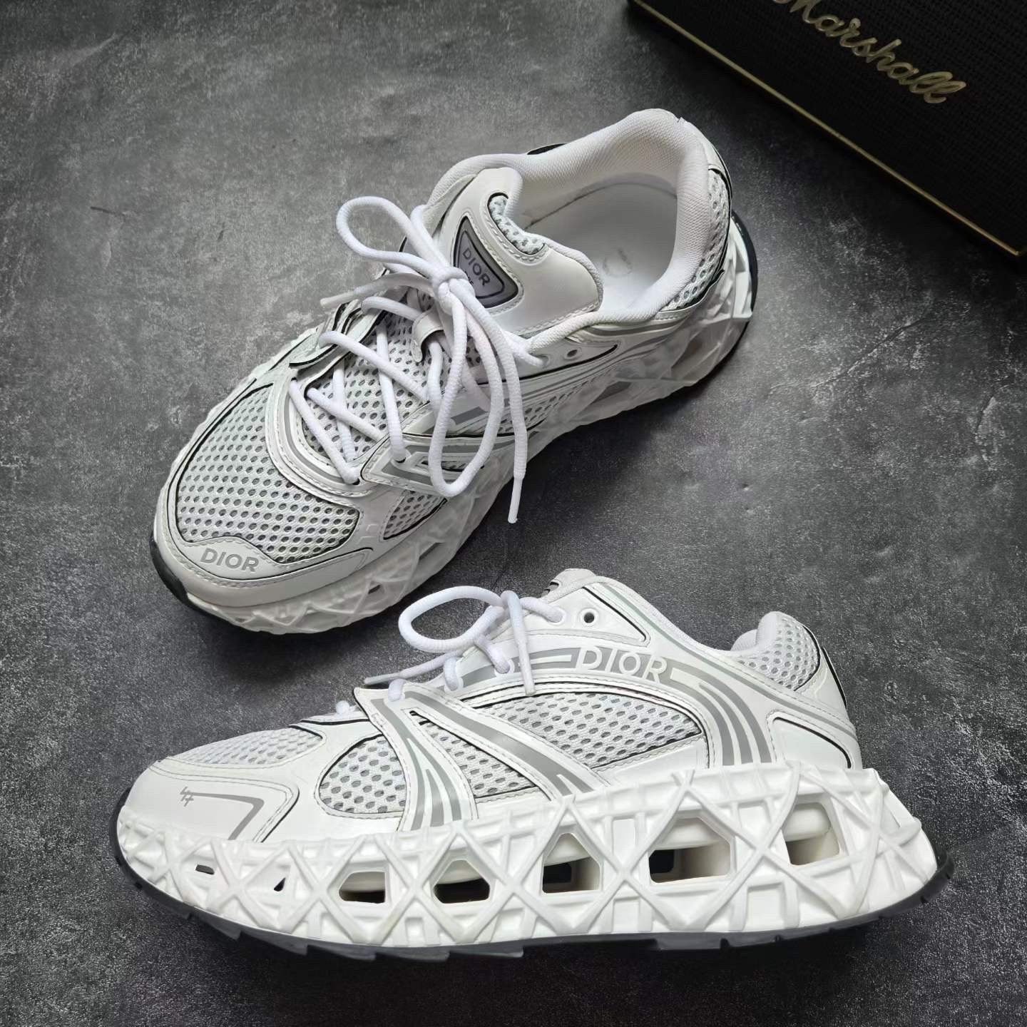 Dior B35 White Sneakers — back